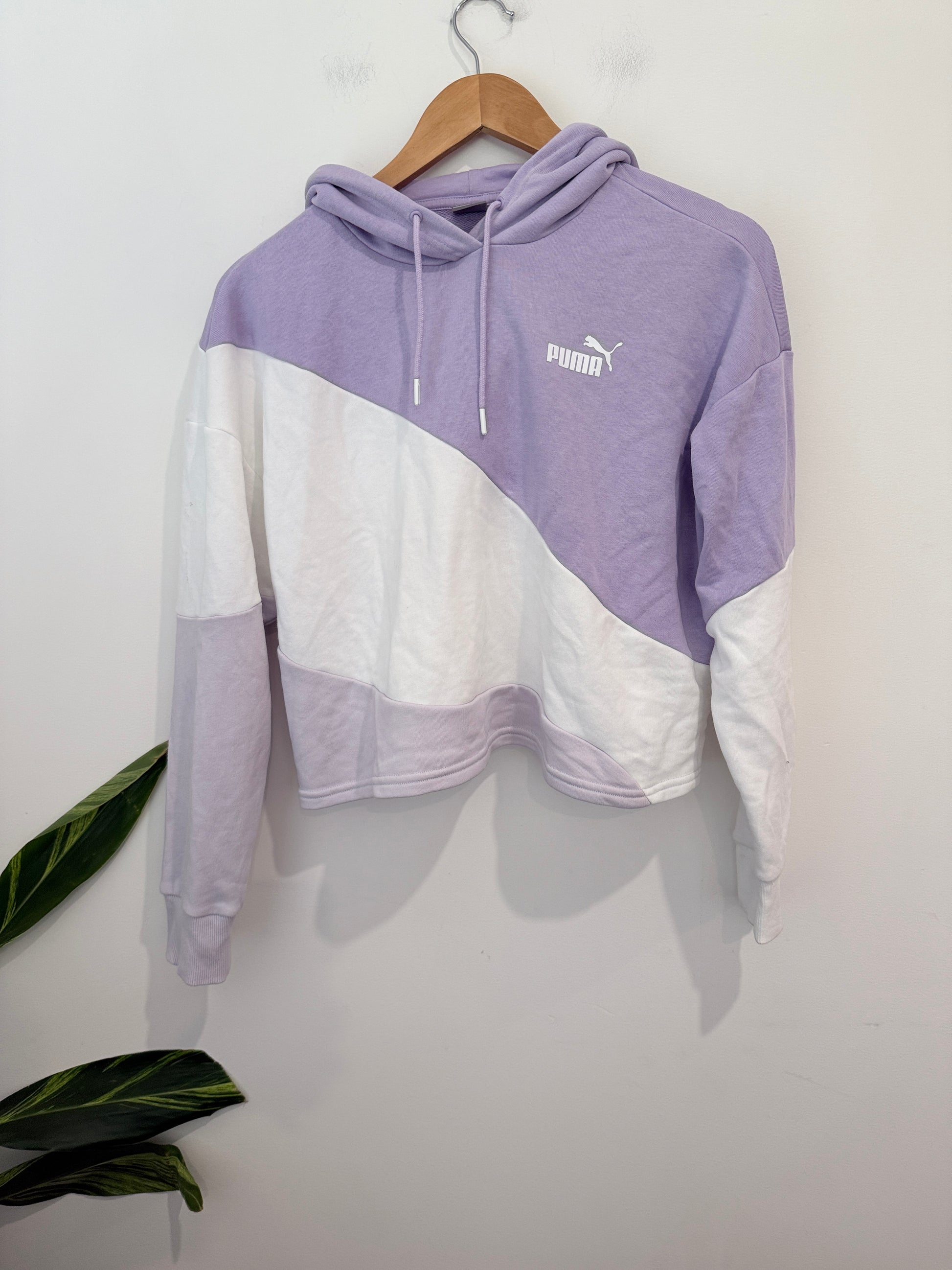 Puma Pullover Hoodie Size M