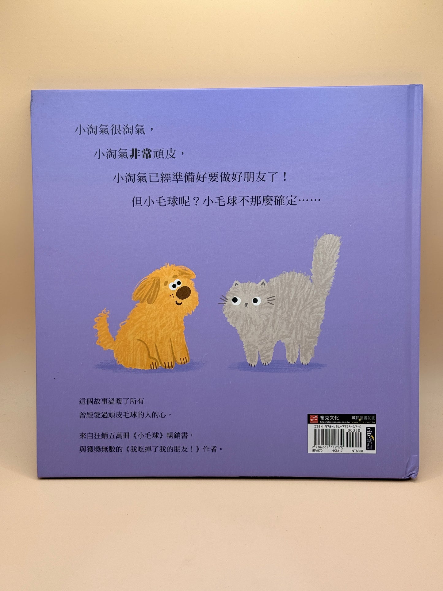 Xiao Tao - Traditional Chinese edition