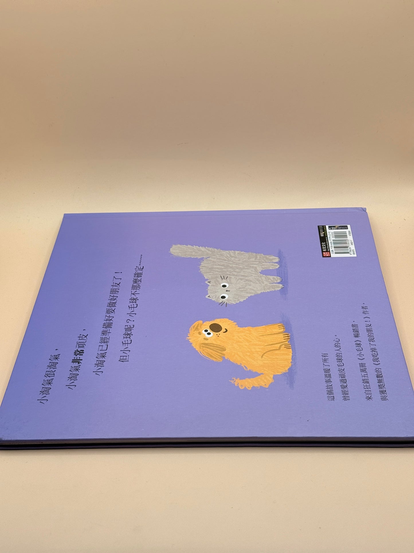 Xiao Tao - Traditional Chinese edition