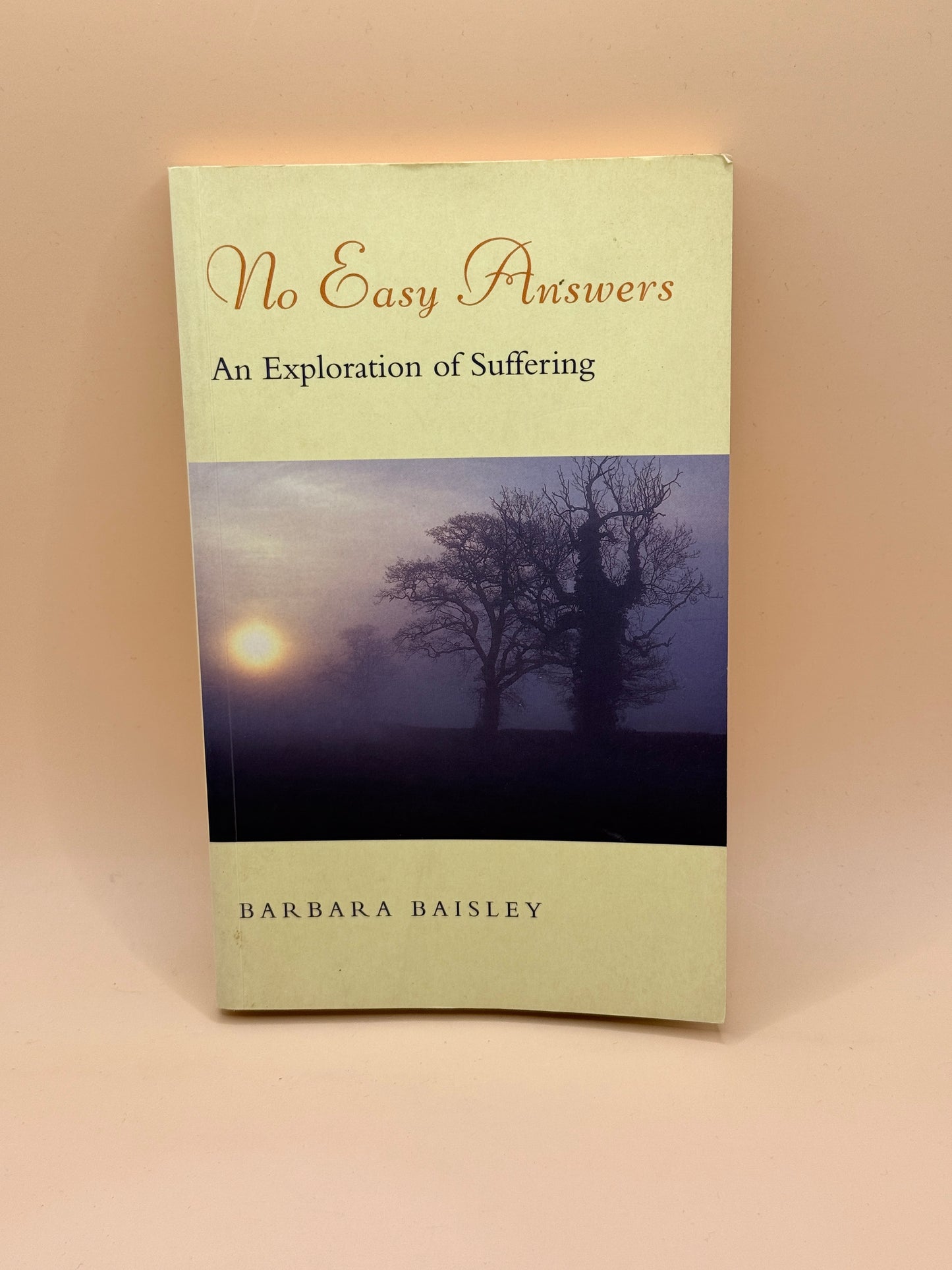 No Easy Answers: An Exploration of Suffering by Barbara Baisley