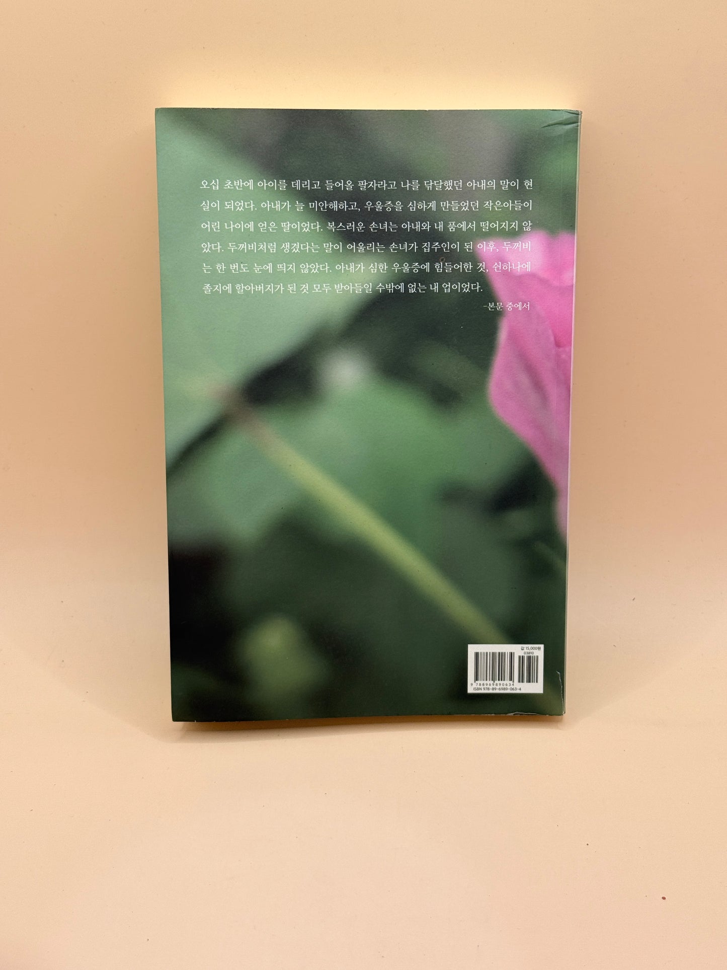 The Man Who Holds the Window by Park Seok-jun - Language: Korean