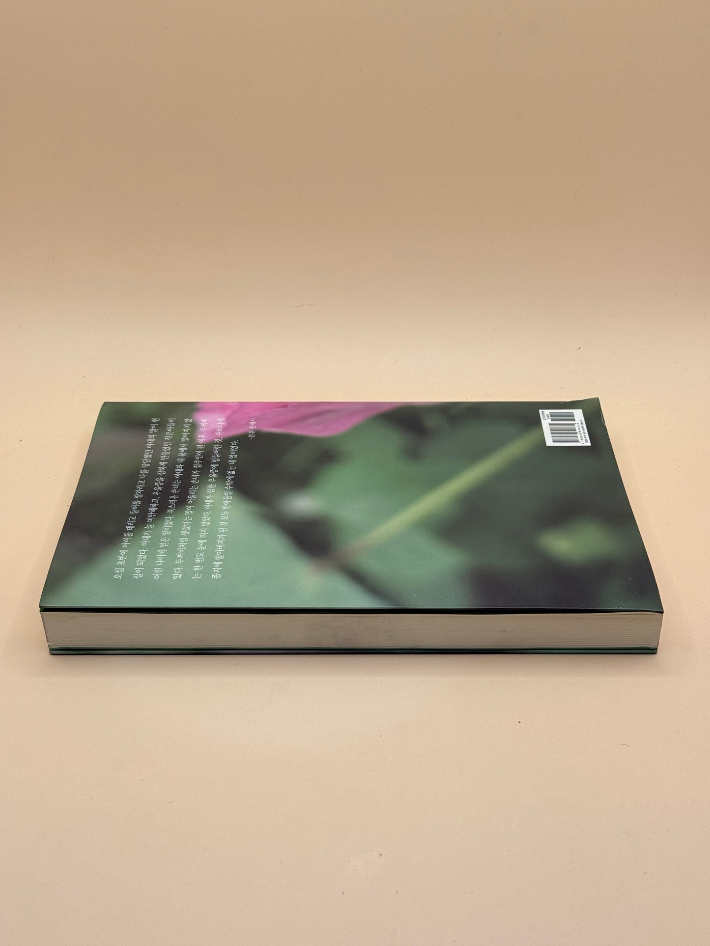 The Man Who Holds the Window by Park Seok-jun - Language: Korean