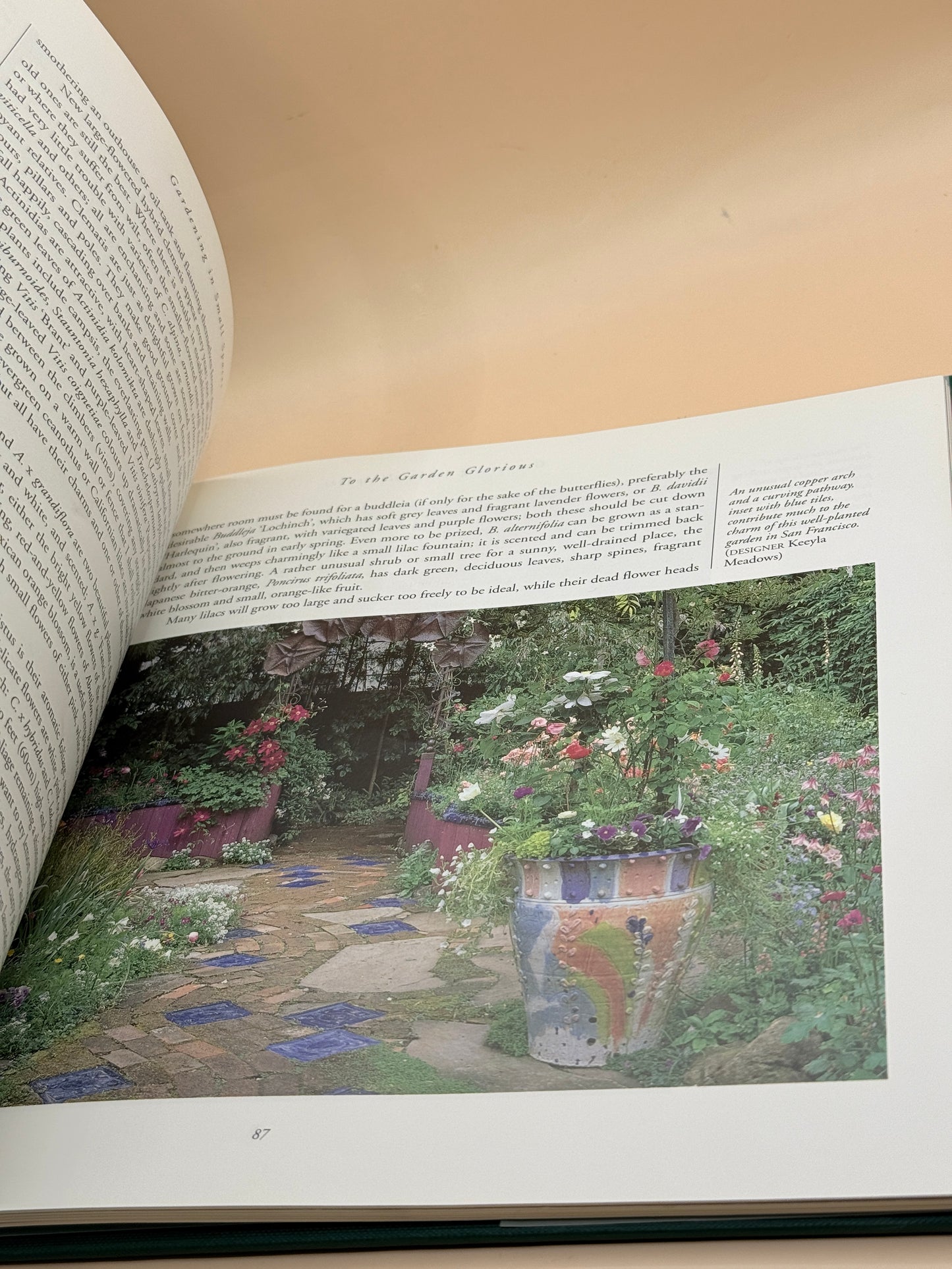Gardening in Small Spaces by Angela Kirby