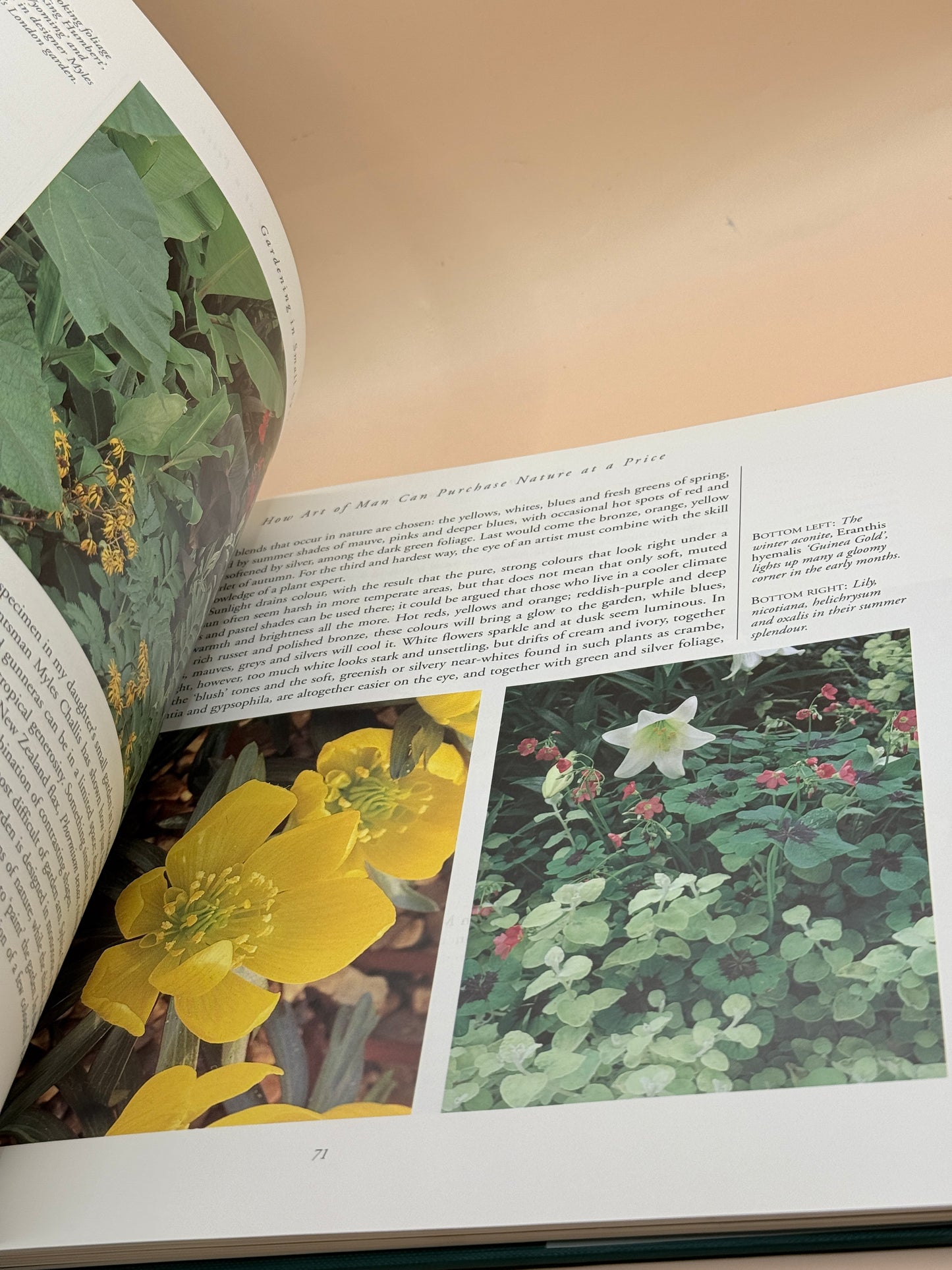 Gardening in Small Spaces by Angela Kirby