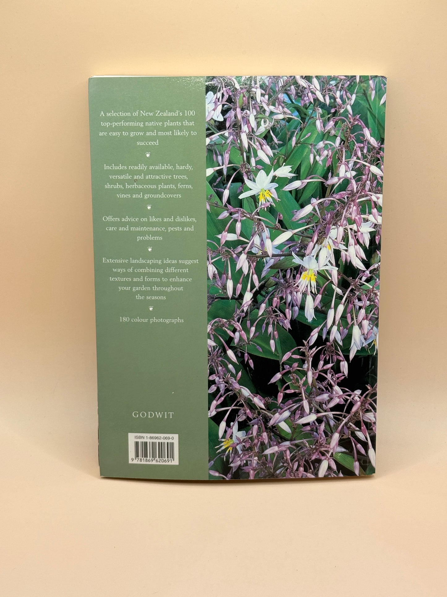 100 Best New Zealand Native Plants for Gardens by Fiona Eadie