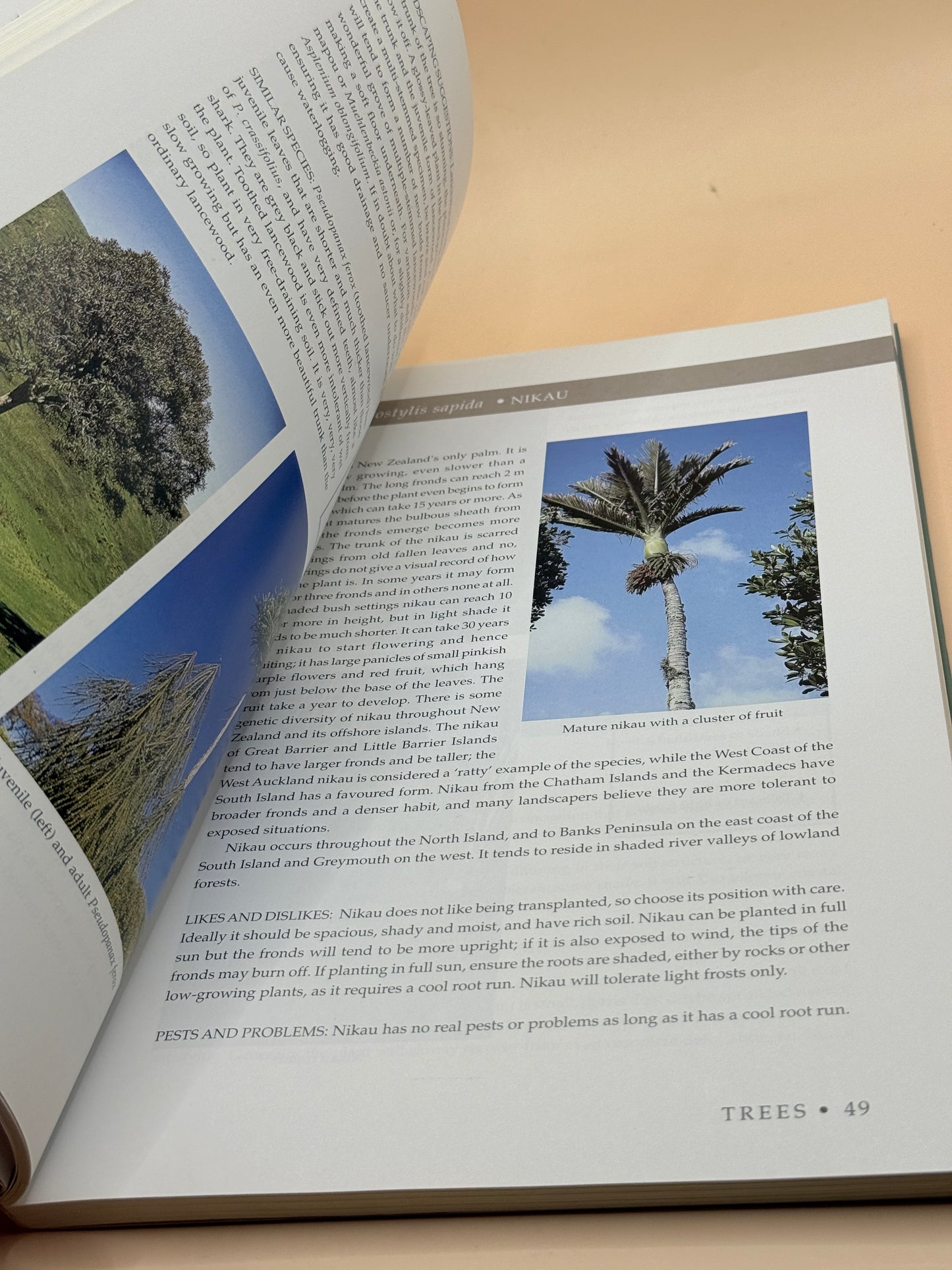 100 Best New Zealand Native Plants for Gardens by Fiona Eadie