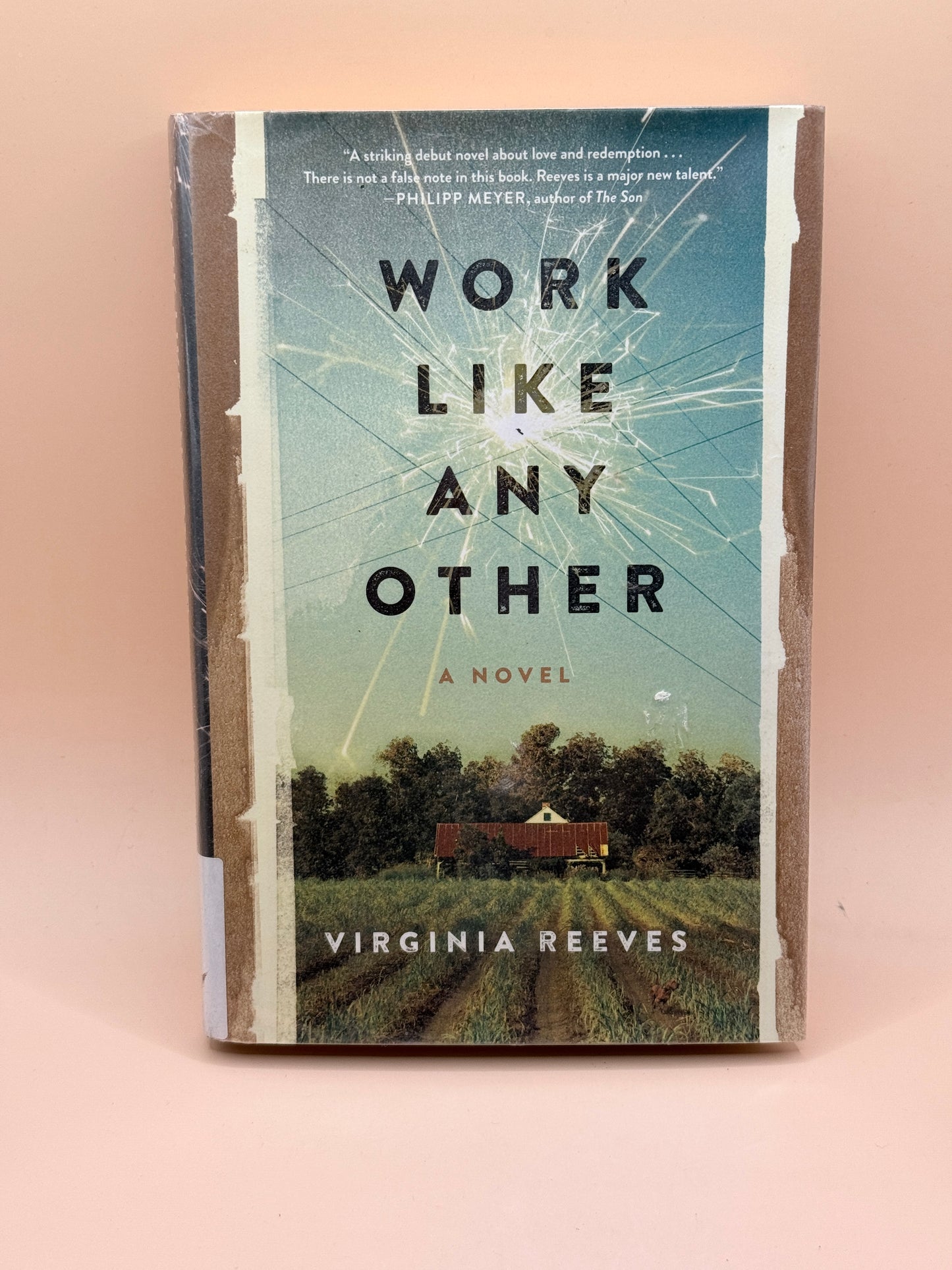 Work Like Any Other by Virginia Reeves