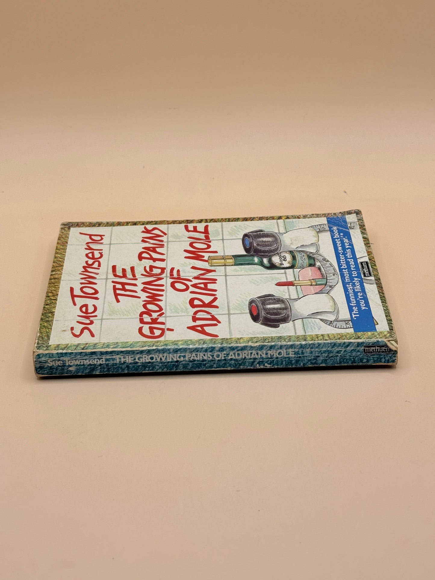 The Growing Pains of Adrian Mole by Sue Townsend 1985