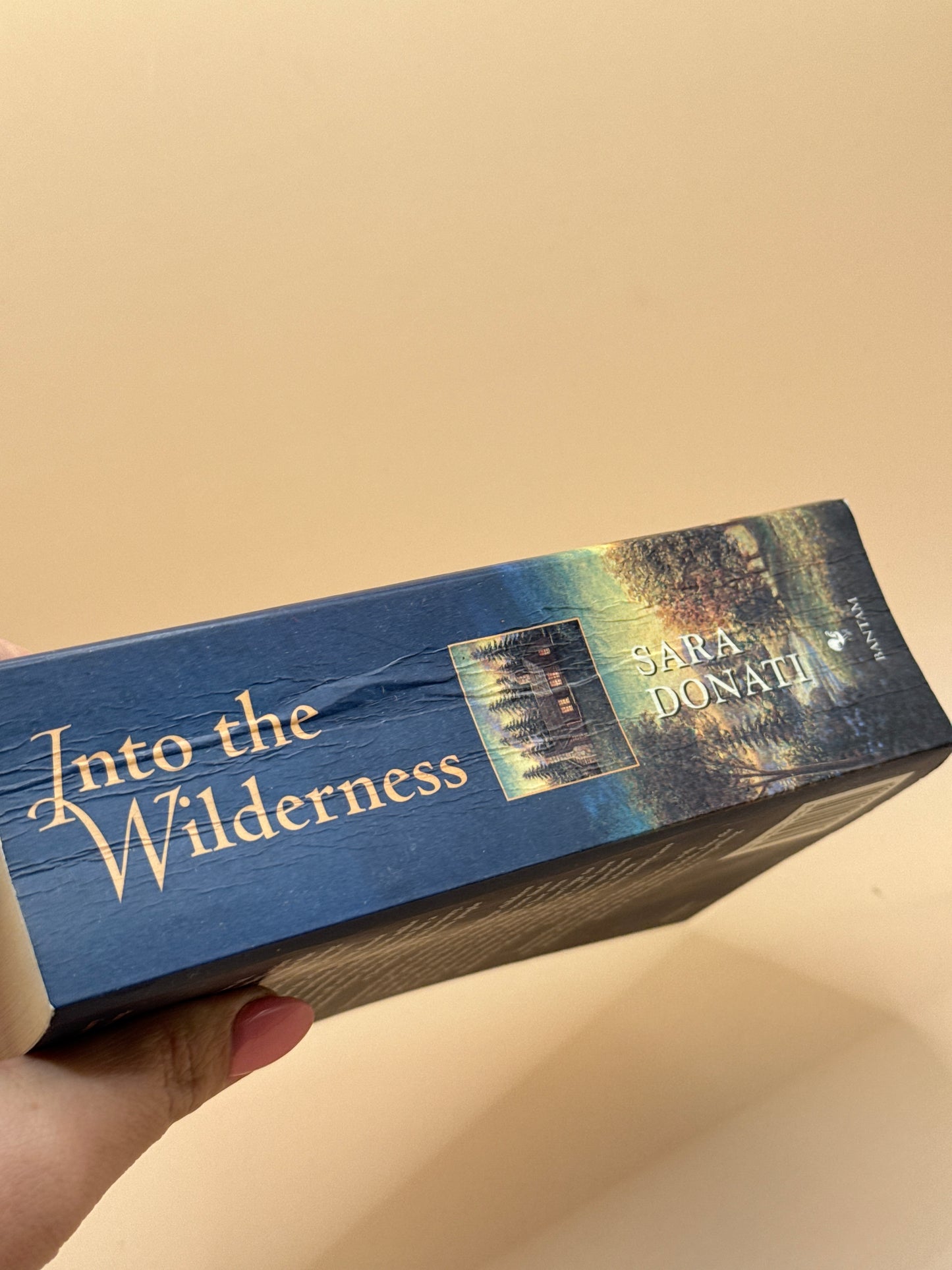 Into the Wilderness by Sara Donati