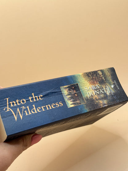 Into the Wilderness by Sara Donati