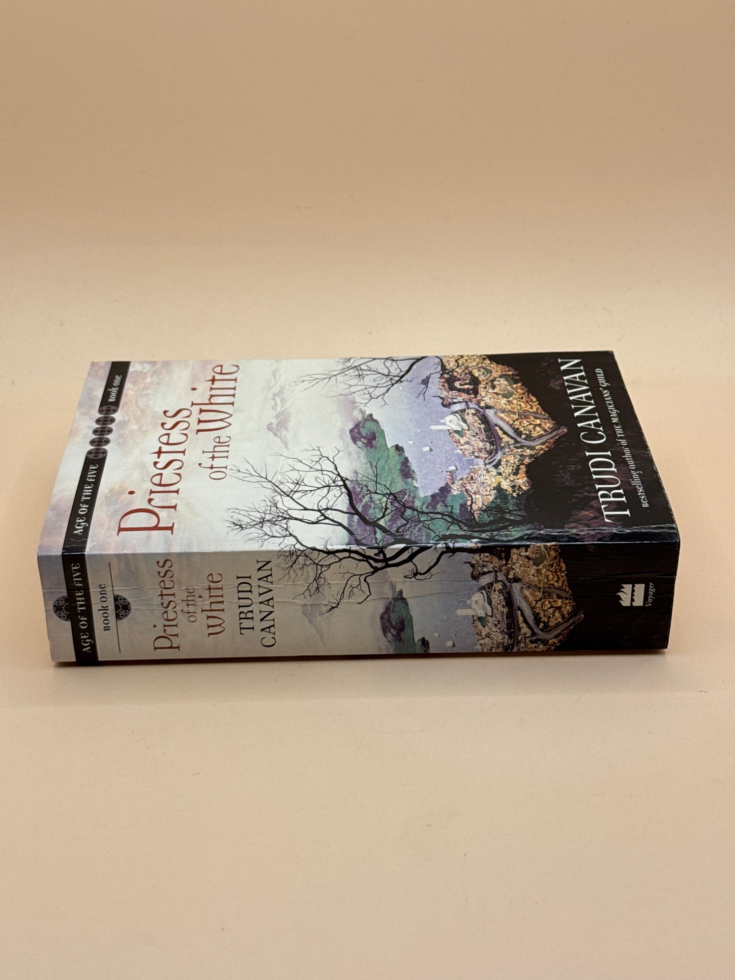Priestess of the White by Trudi Canavan