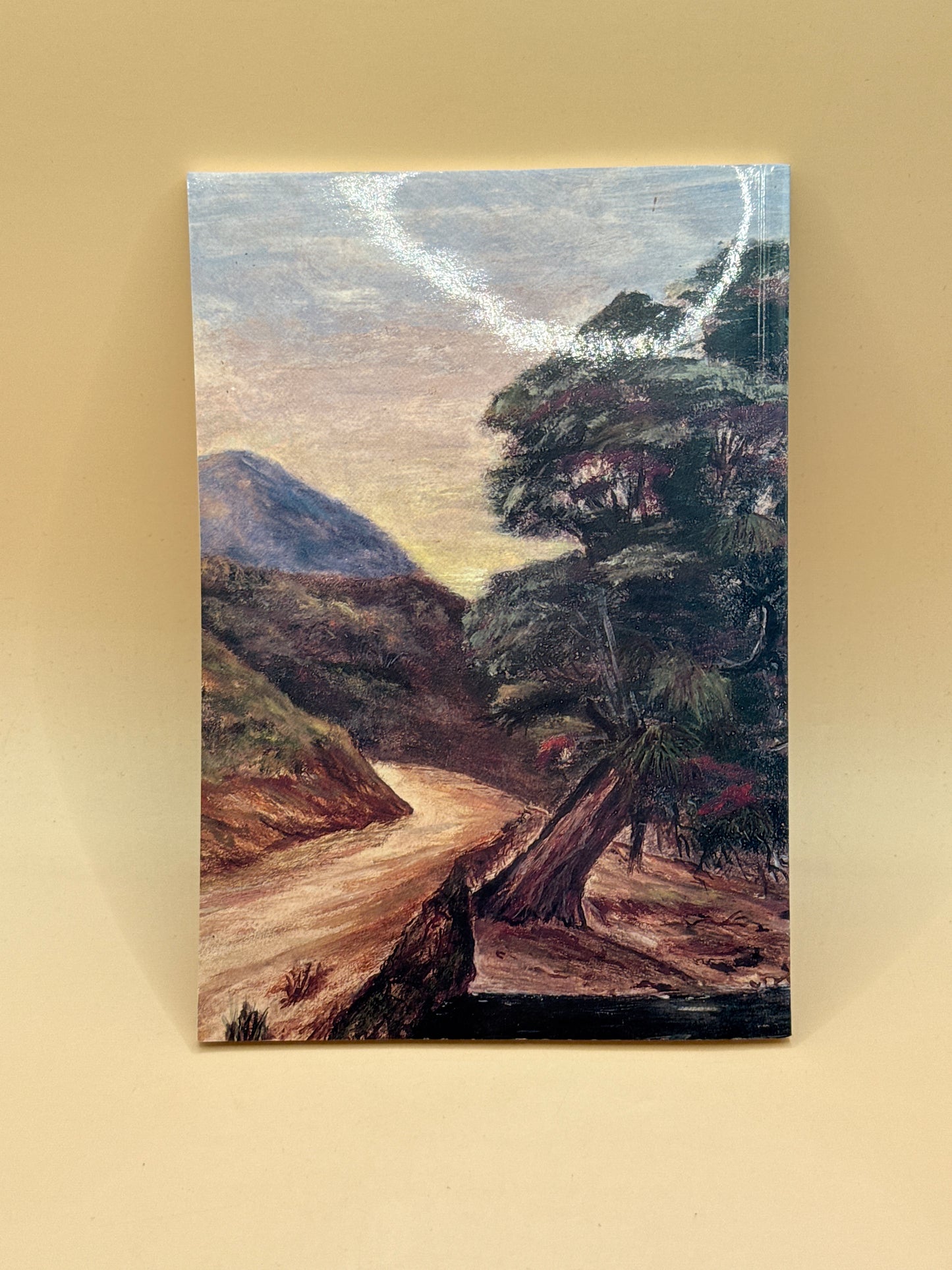 Early Manukau Secrets of Yesterday by George Higham