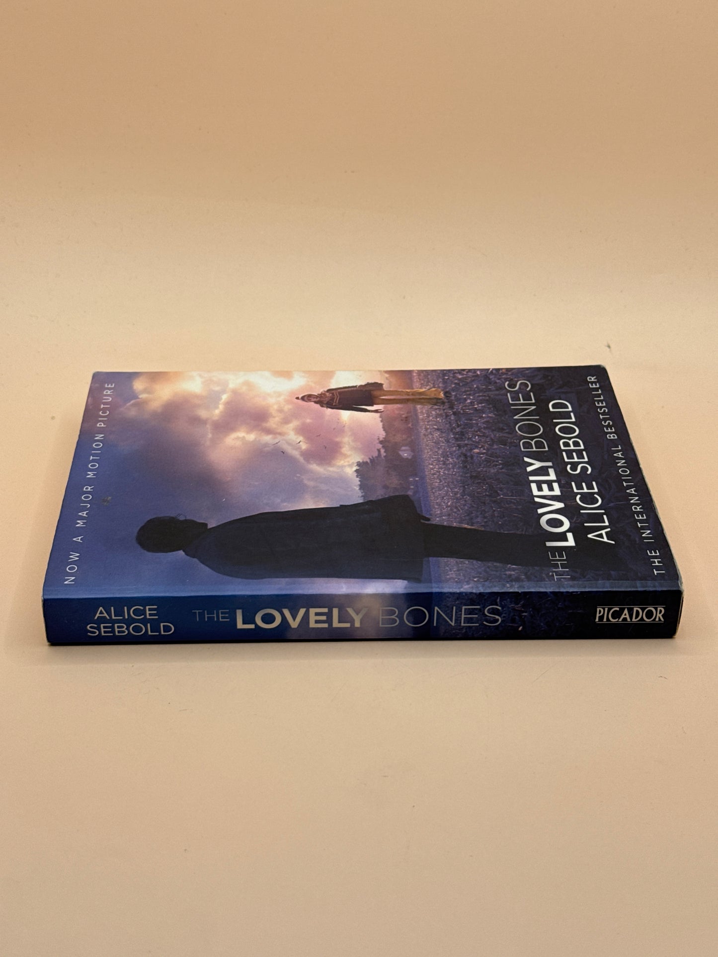 The Lovely Bones by Alice Sebold