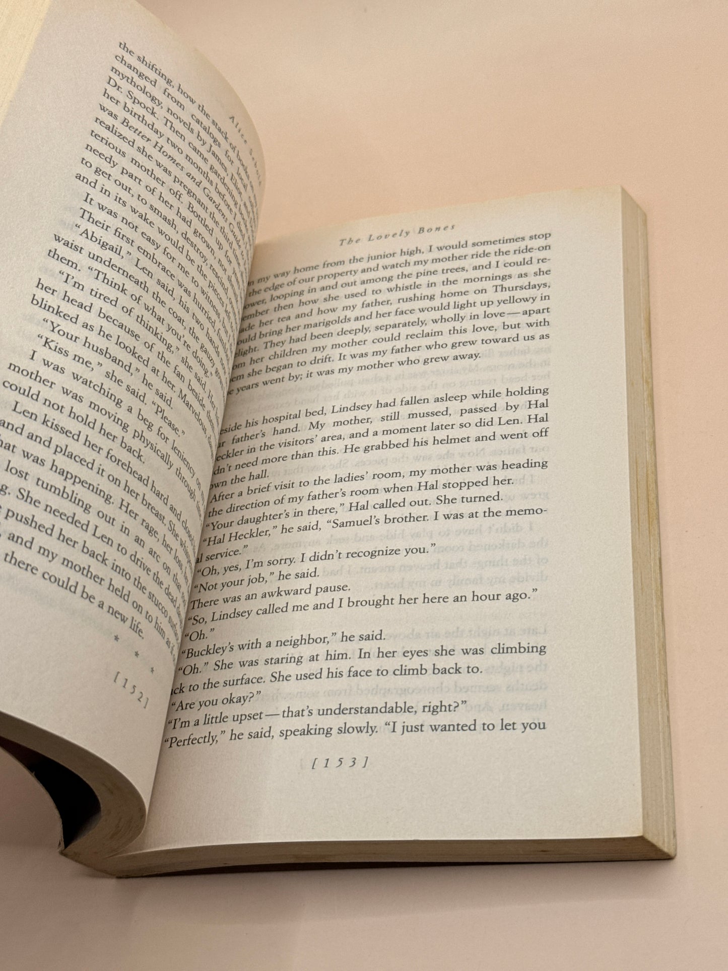 The Lovely Bones by Alice Sebold
