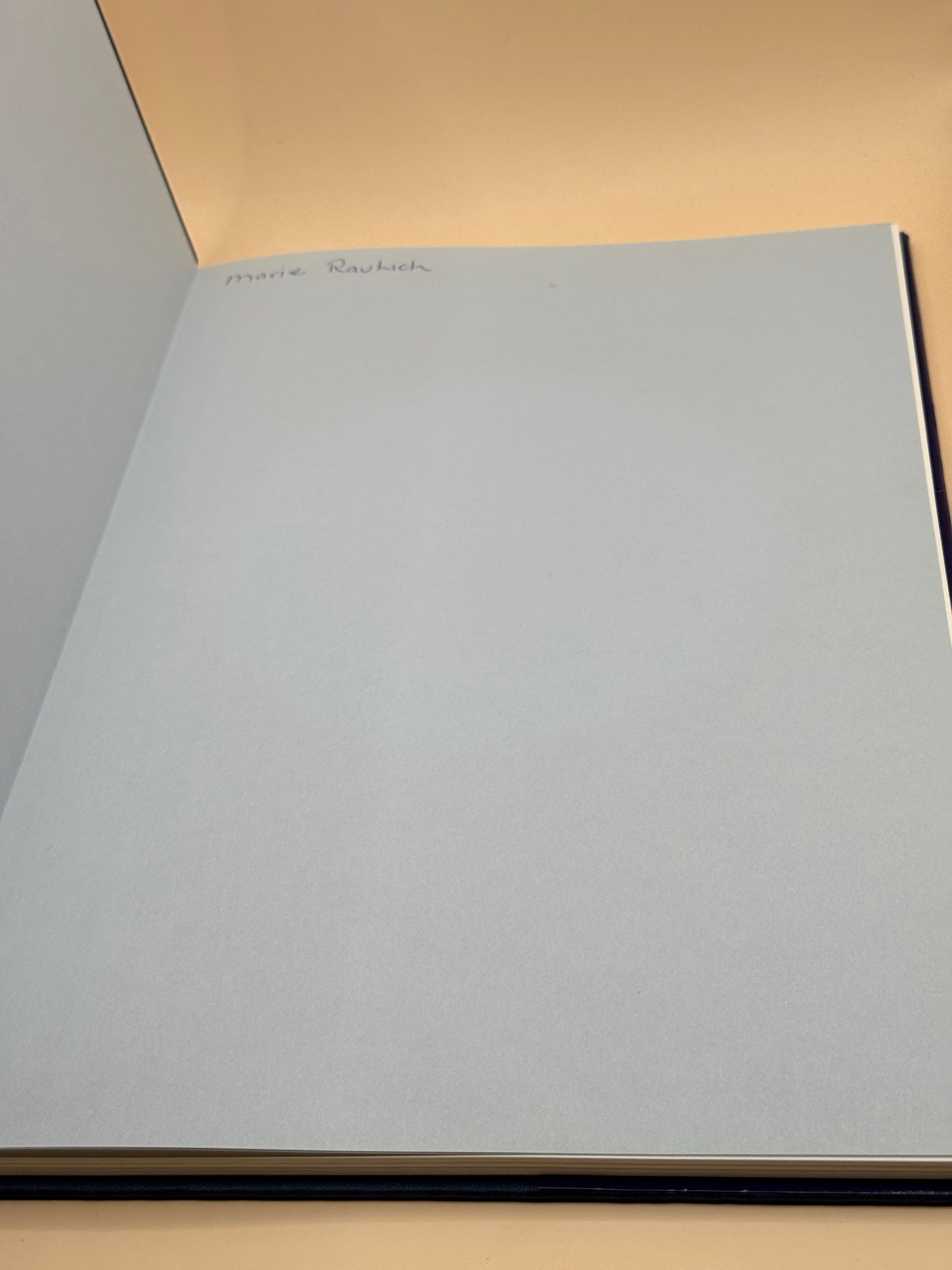 Britain and the Bleiburg Tragedy: An Artist's Impression by Suzanne Brooks-Pinčević