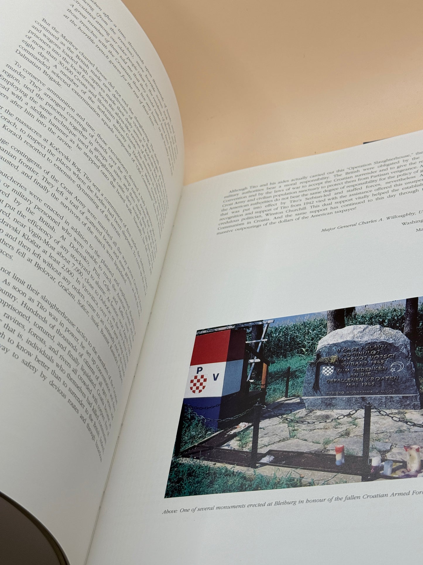 Britain and the Bleiburg Tragedy: An Artist's Impression by Suzanne Brooks-Pinčević