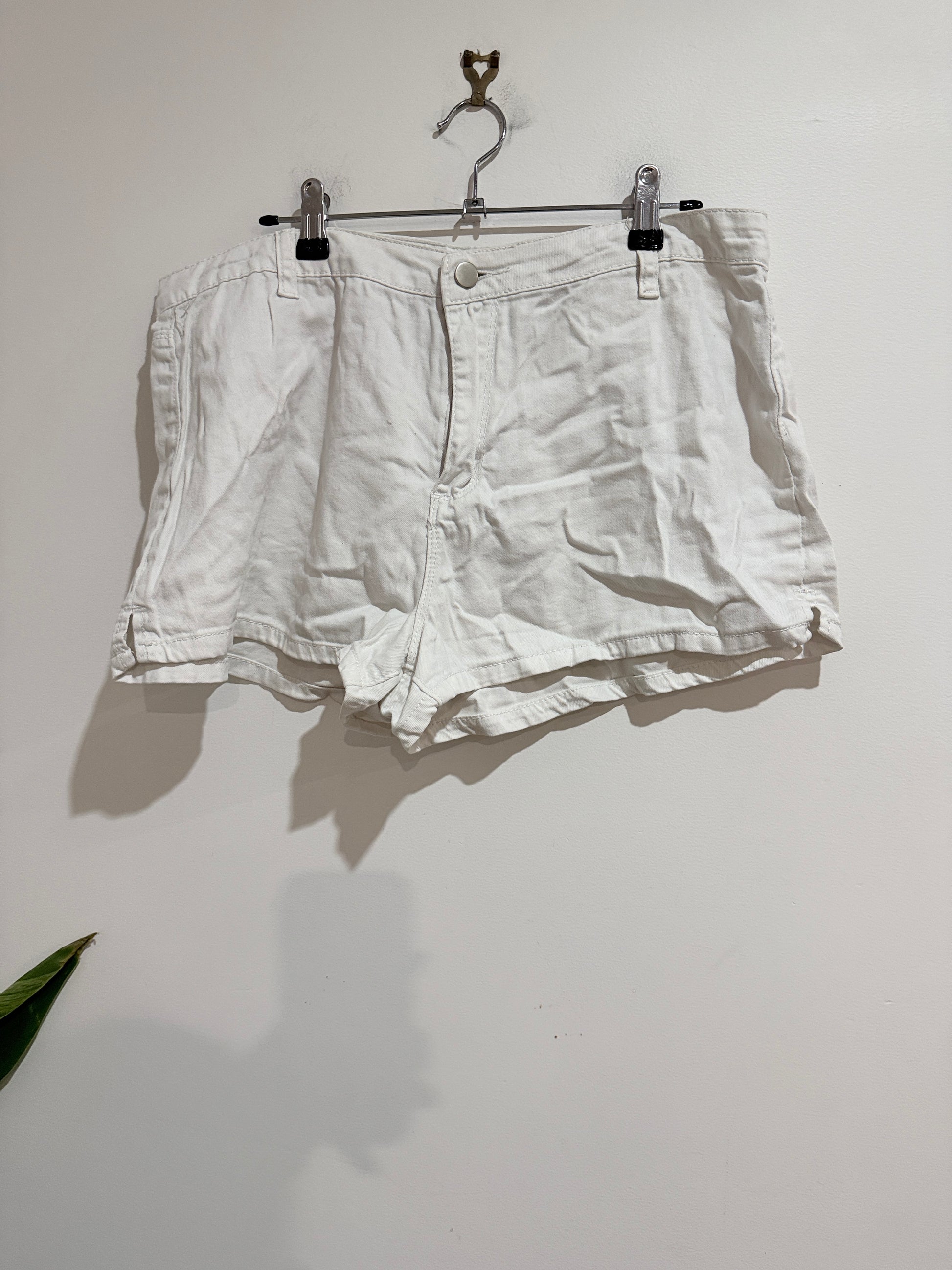 Mirrou Summer Shorts Size 14