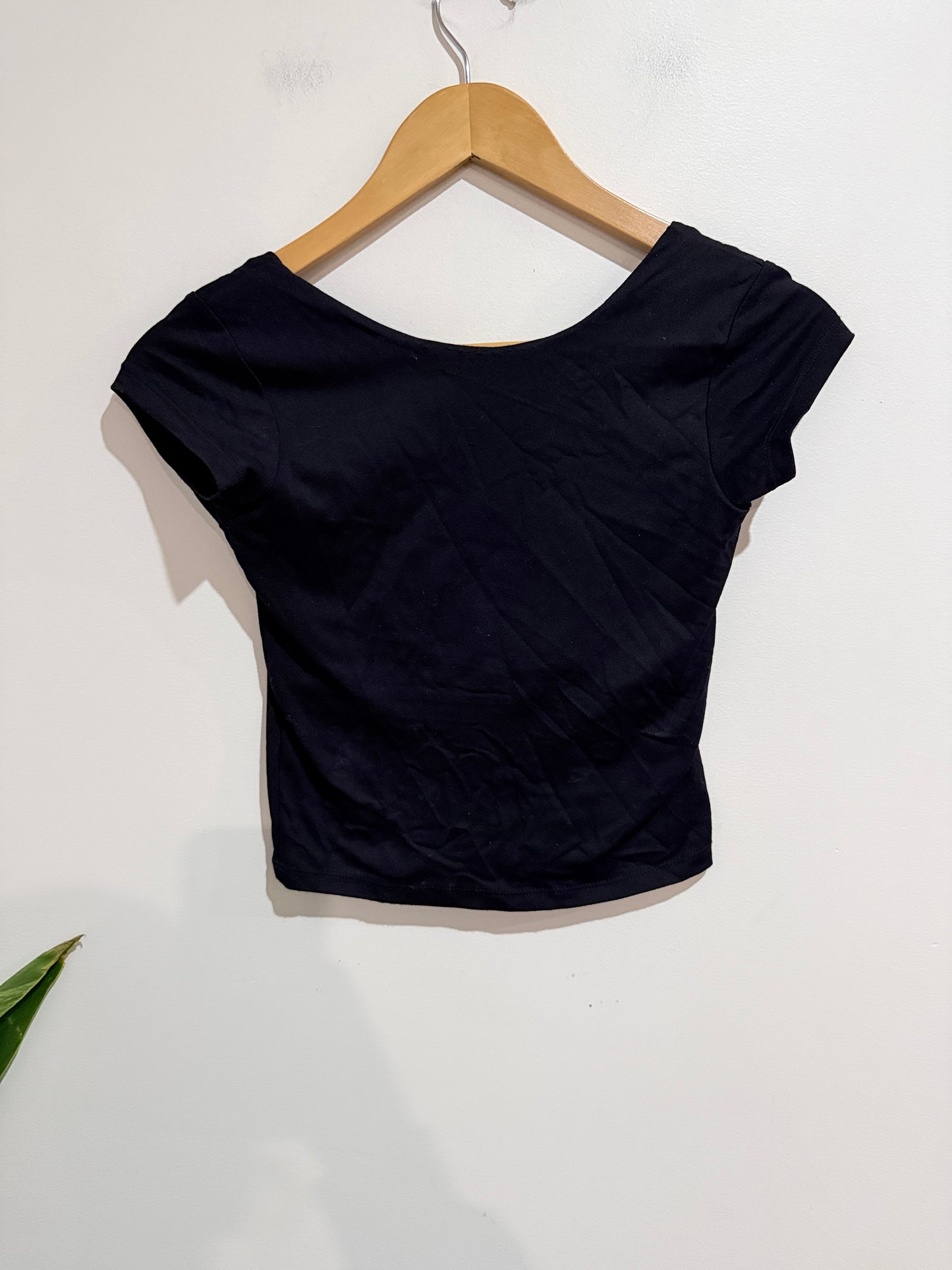Glassons Short-sleeve Crop Top Size XS