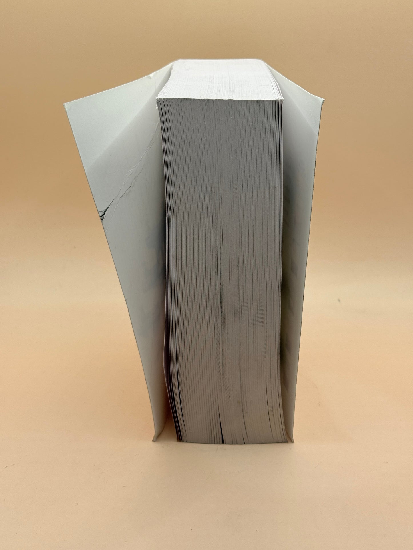Shōgun by James Clavell