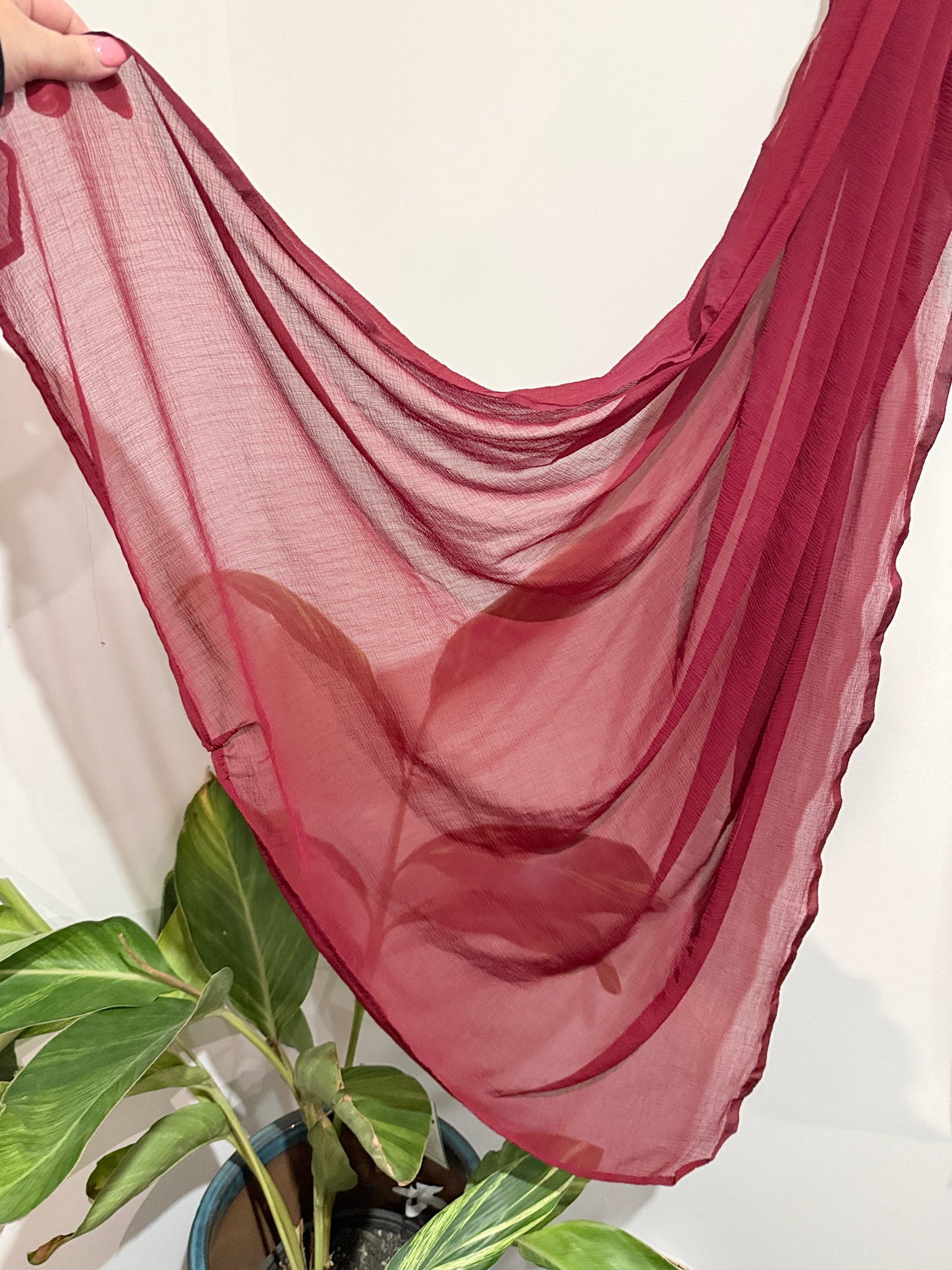 Chiffon Scarf