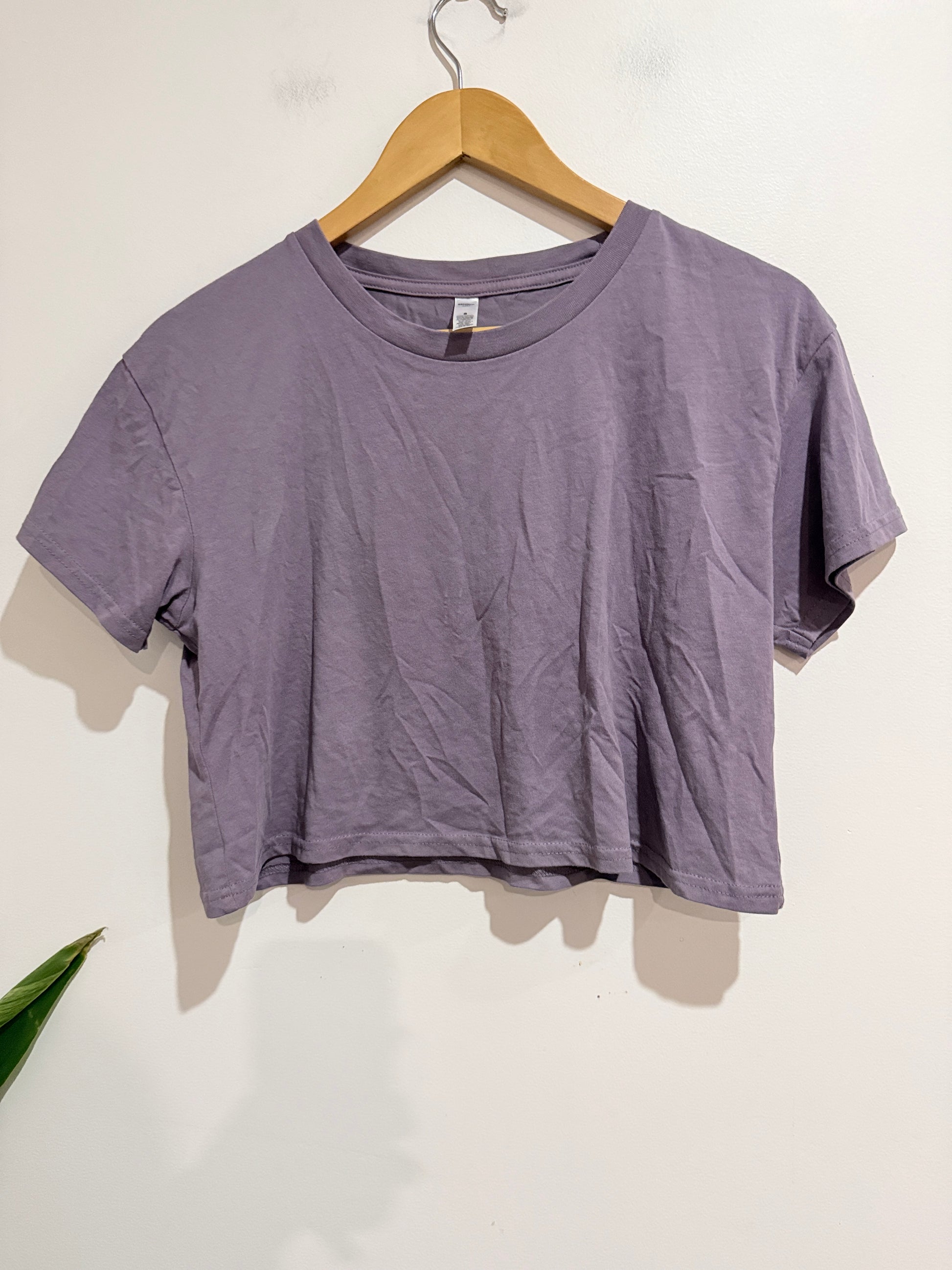 Ascolour Crew Neck Cropped T-shirt Size S
