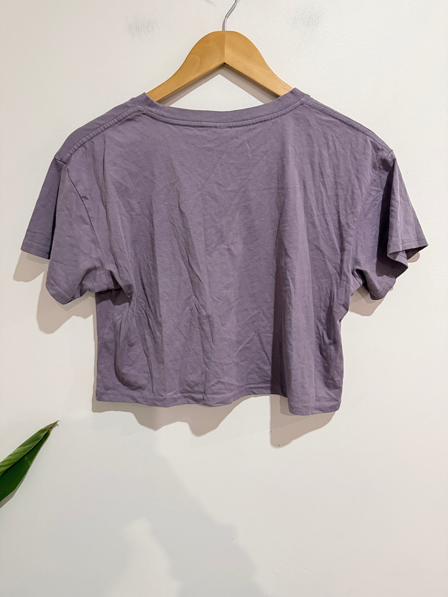 Ascolour Crew Neck Cropped T-shirt Size S
