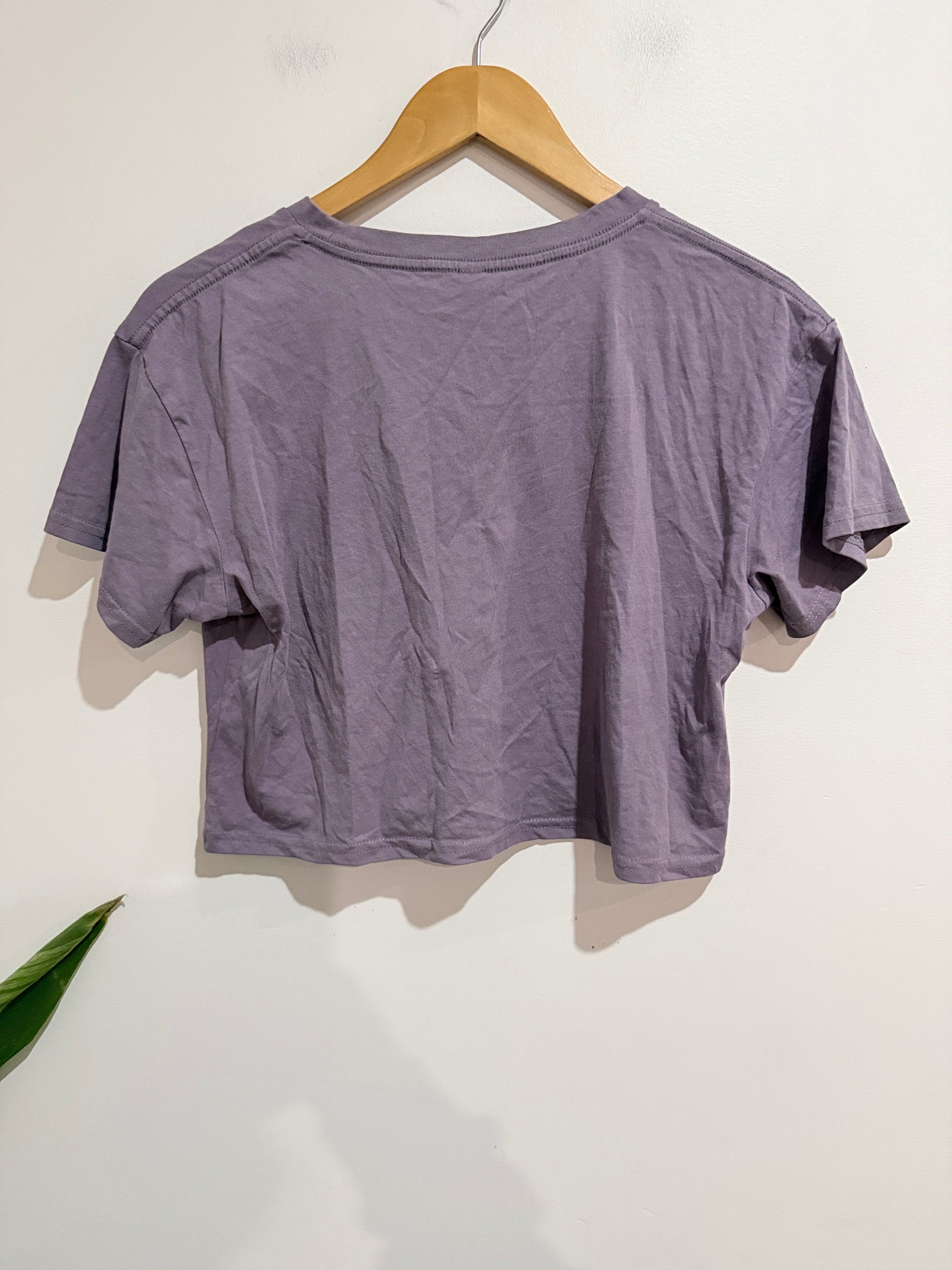 Ascolour Crew Neck Cropped T-shirt Size S