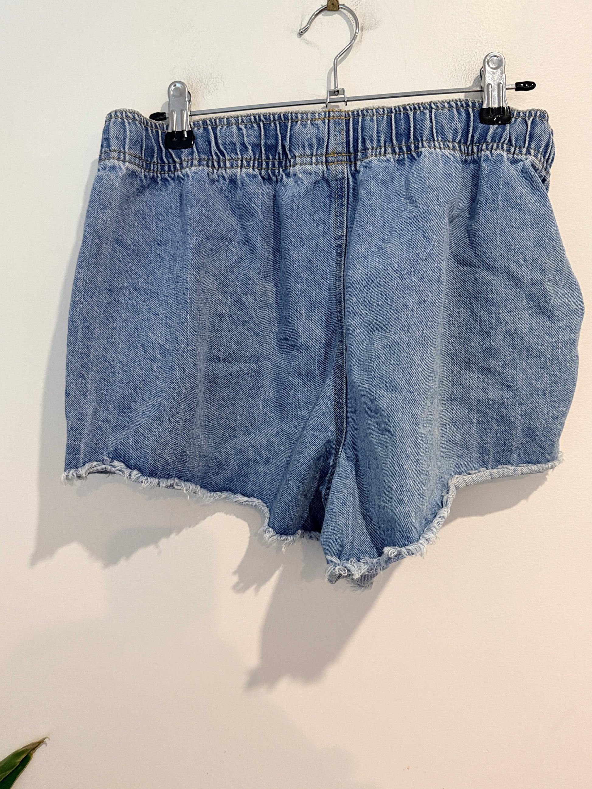 Garage Denim Shorts Size 10
