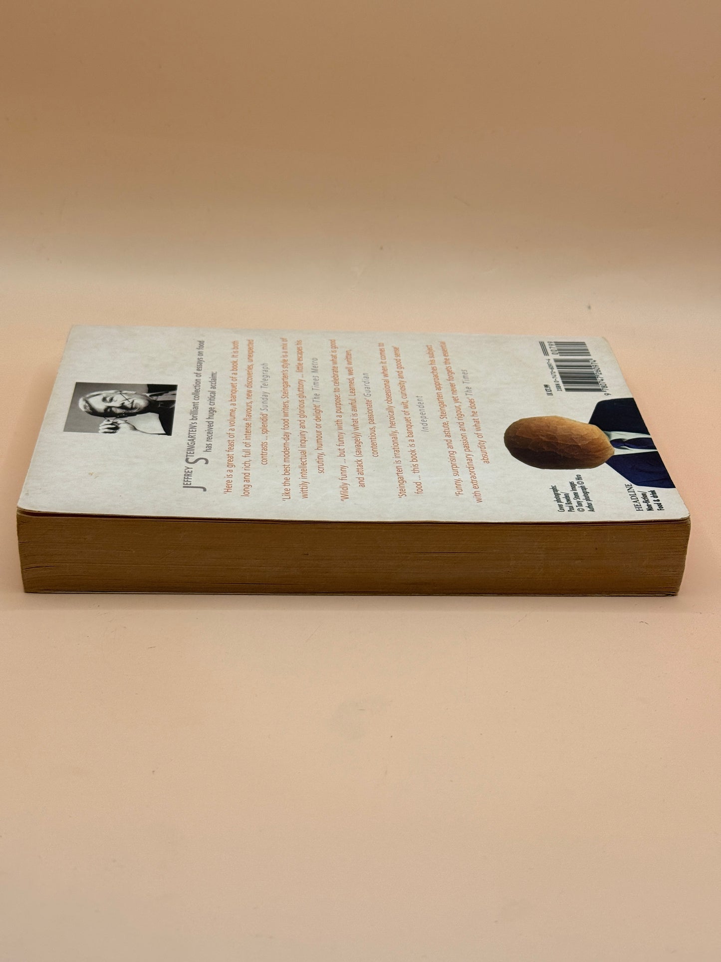 The Man Who Ate Everything by Jeffrey Steingarten