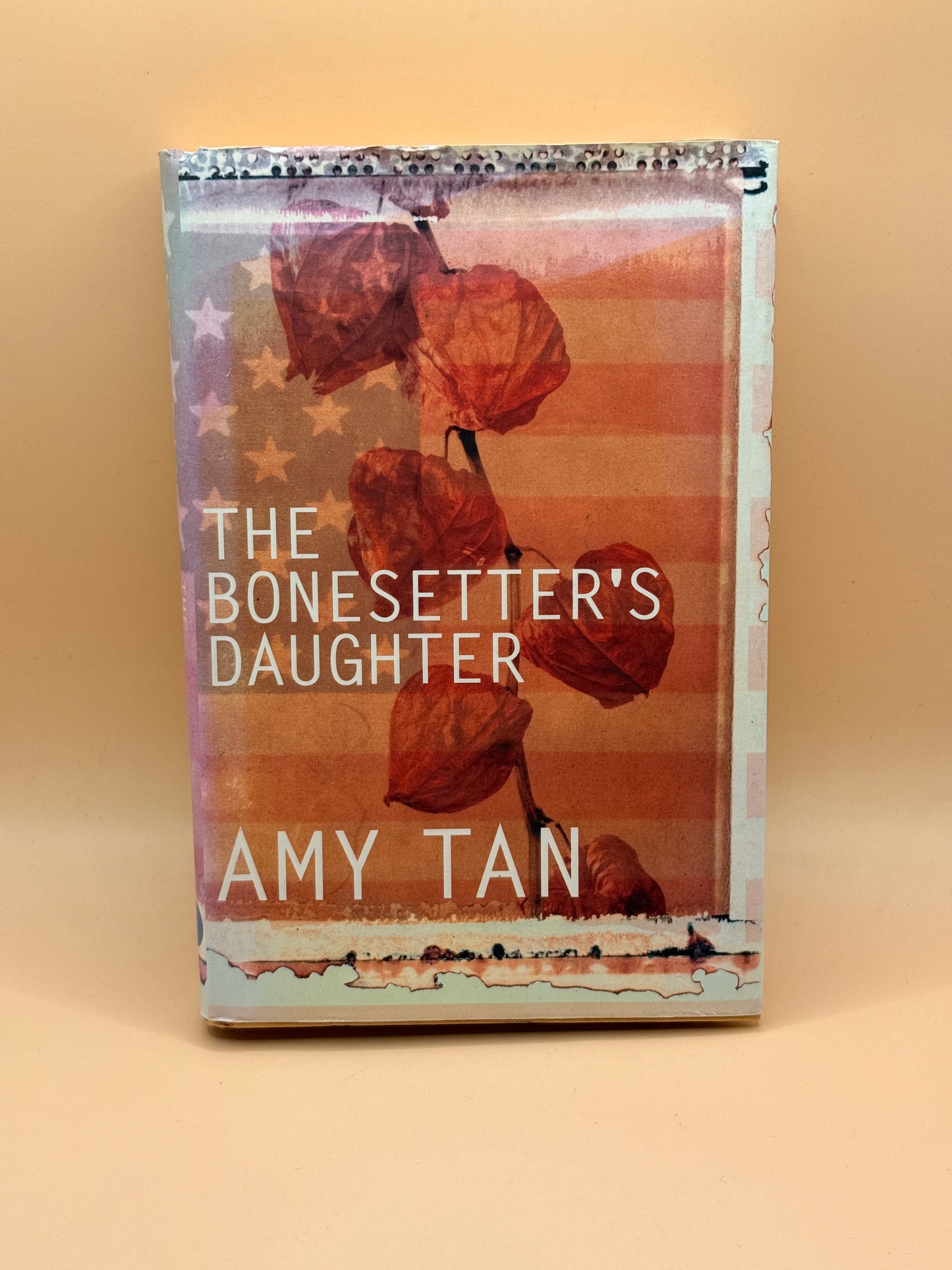The Bonesetter's Daughter by Amy Tan