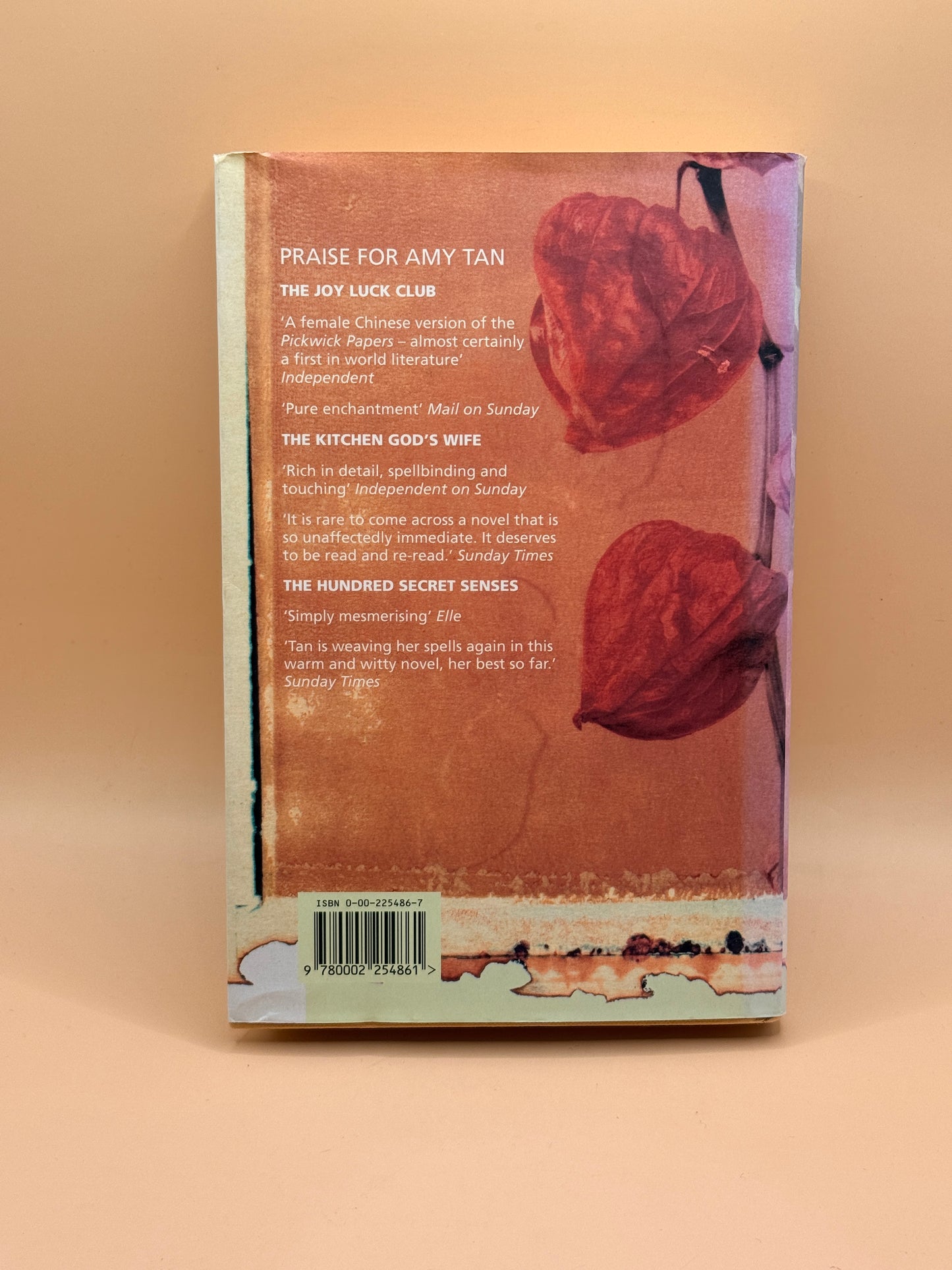The Bonesetter's Daughter by Amy Tan