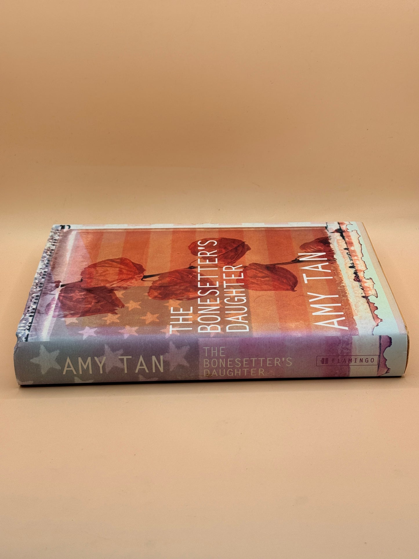 The Bonesetter's Daughter by Amy Tan