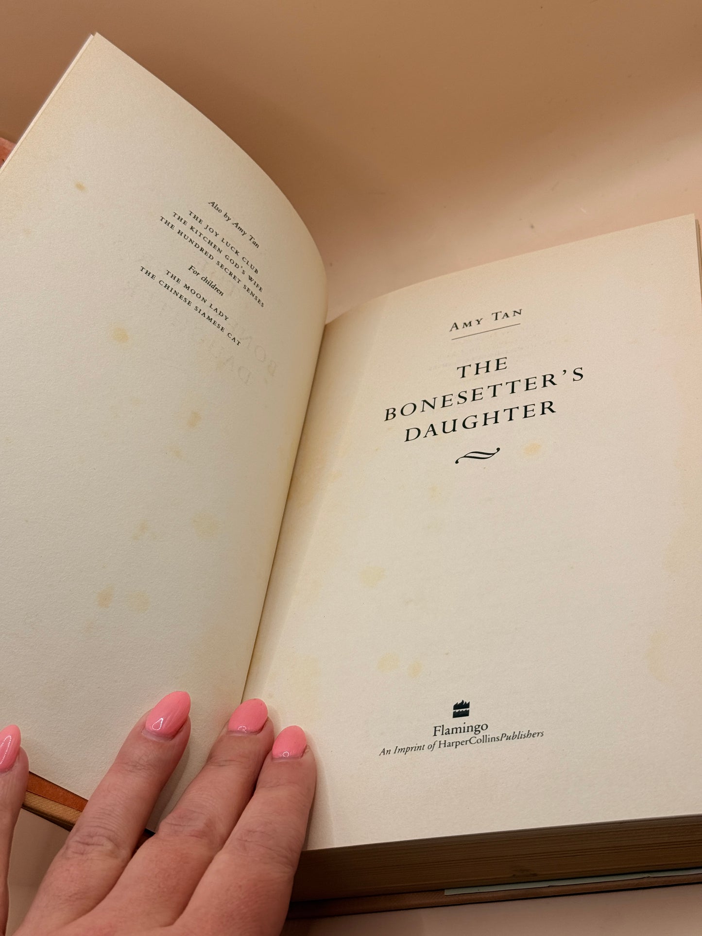 The Bonesetter's Daughter by Amy Tan
