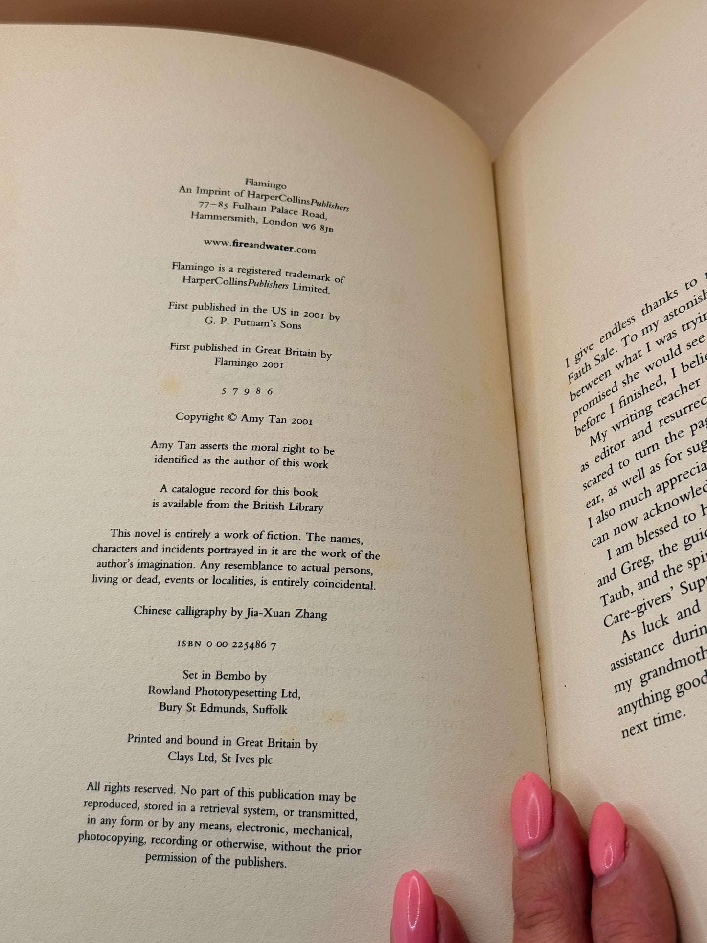 The Bonesetter's Daughter by Amy Tan
