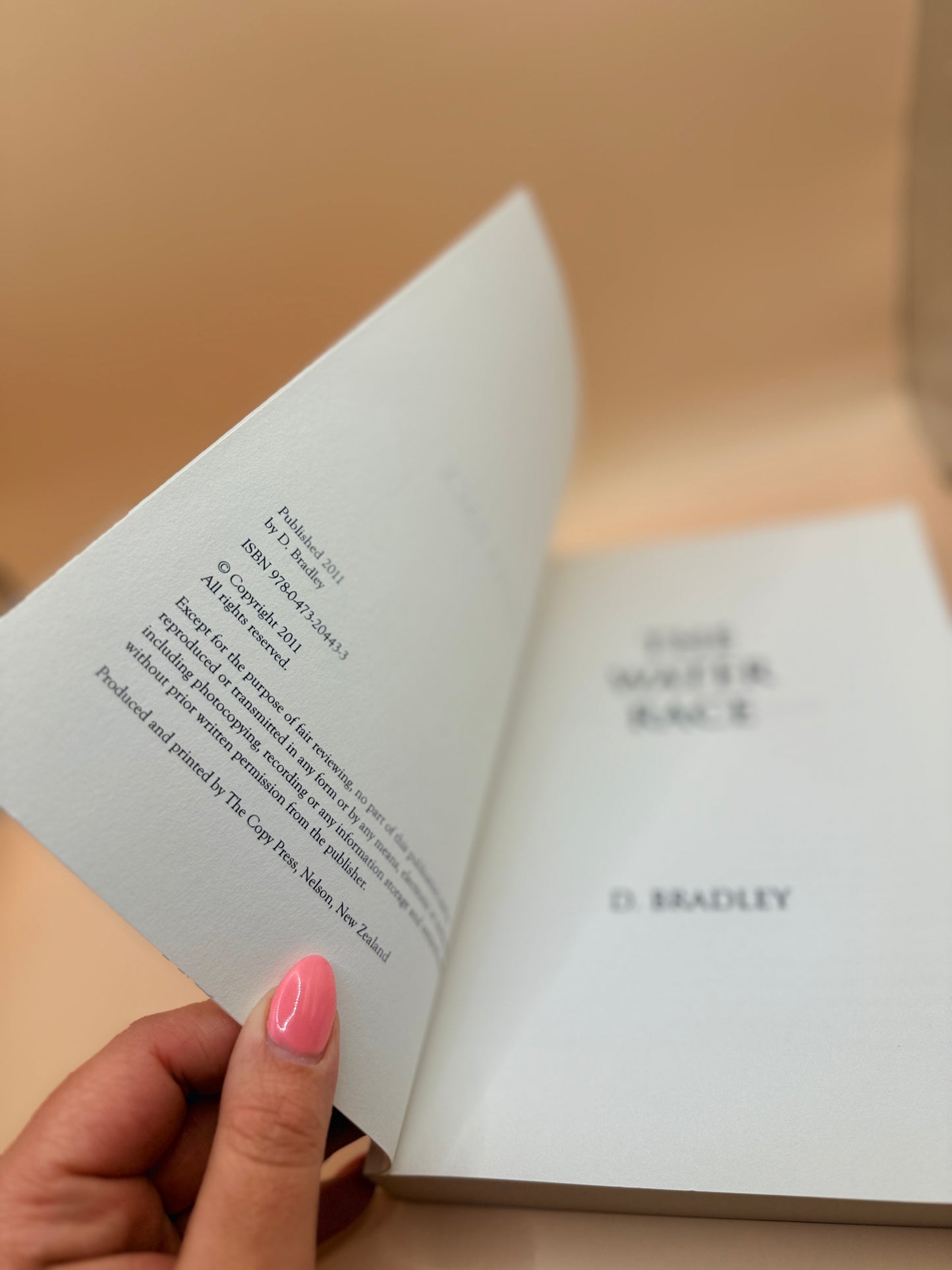 The Water Race by D. Bradley