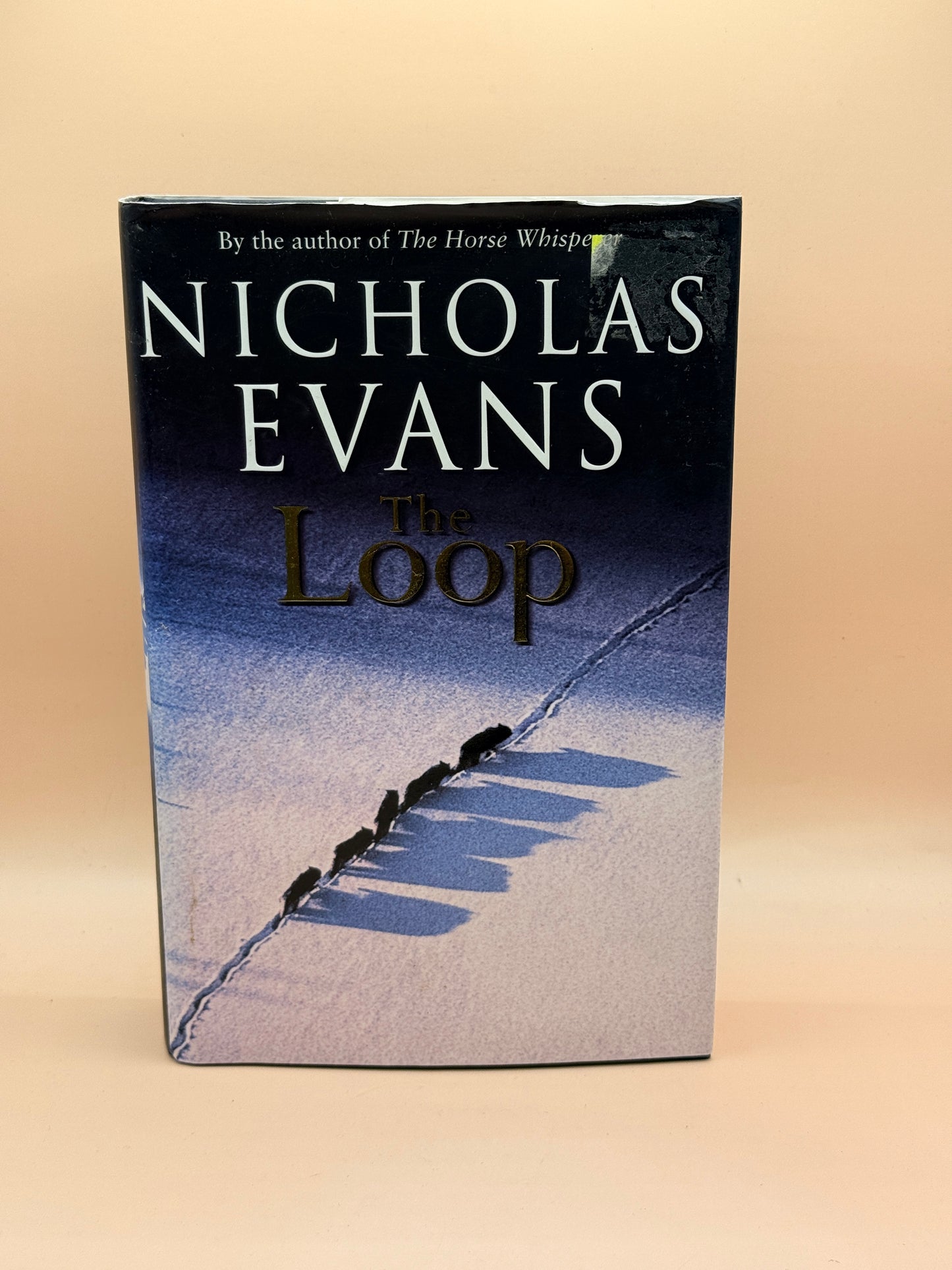 The Loop by Nicholas Evans