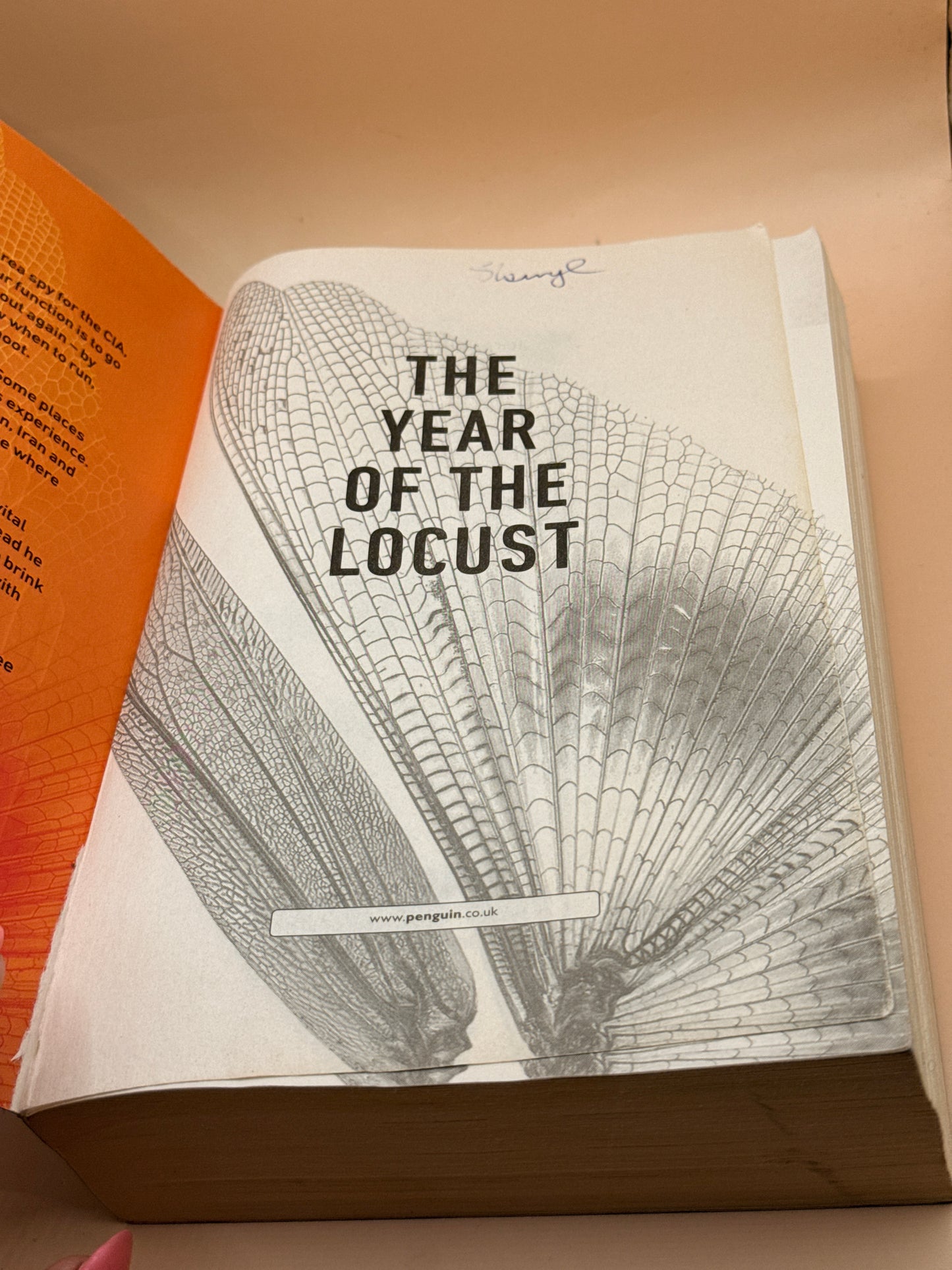 The Year of the Locust by Terry Hayes
