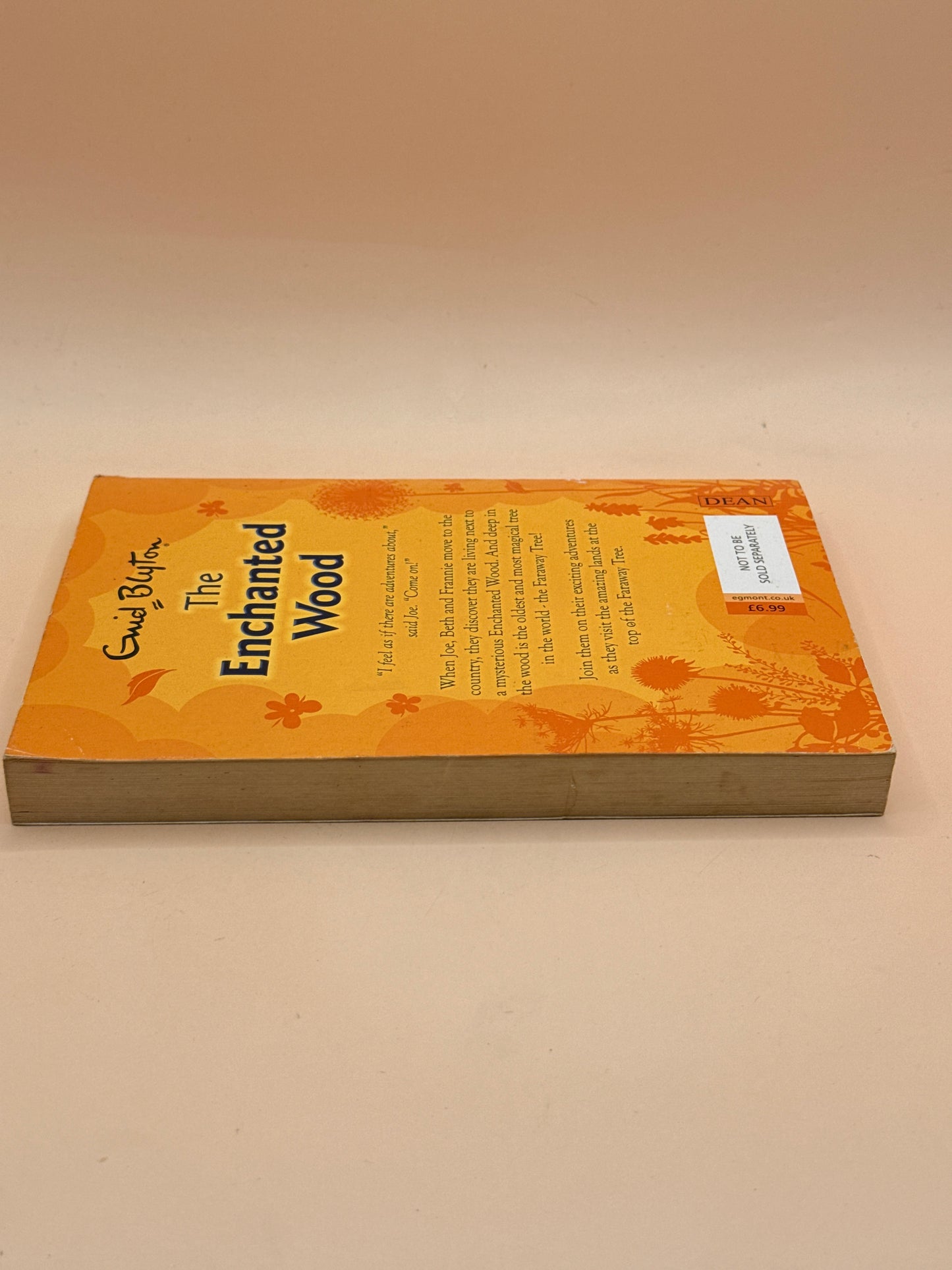 The Enchanted Wood by Enid Blyton