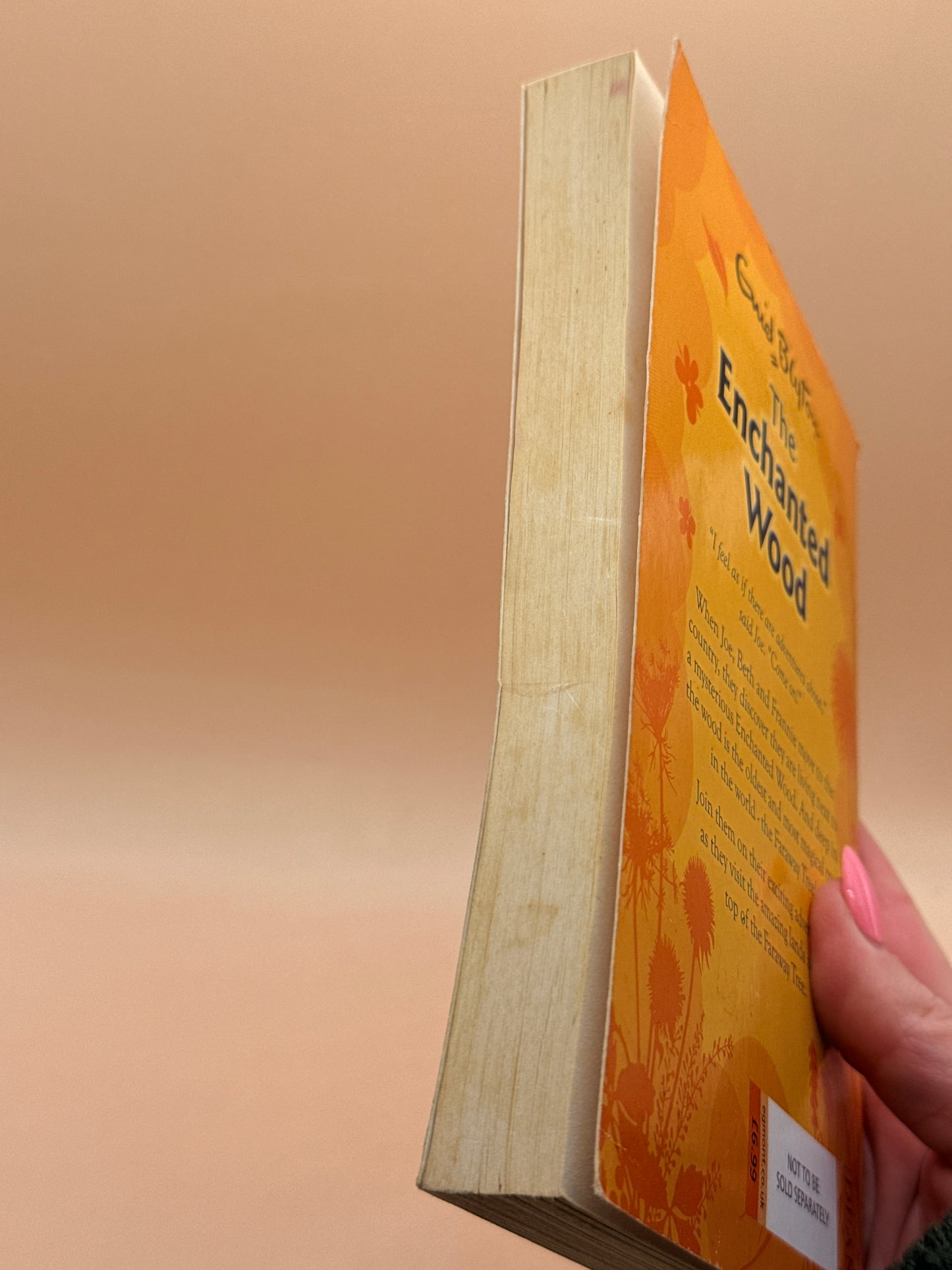 The Enchanted Wood by Enid Blyton