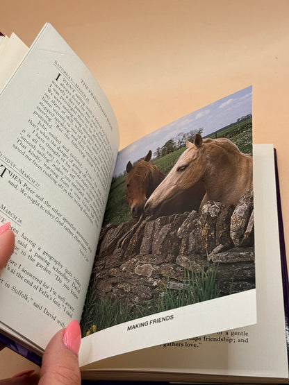 The Friendship Book of Francis Gay 1994 by Francis Gay
