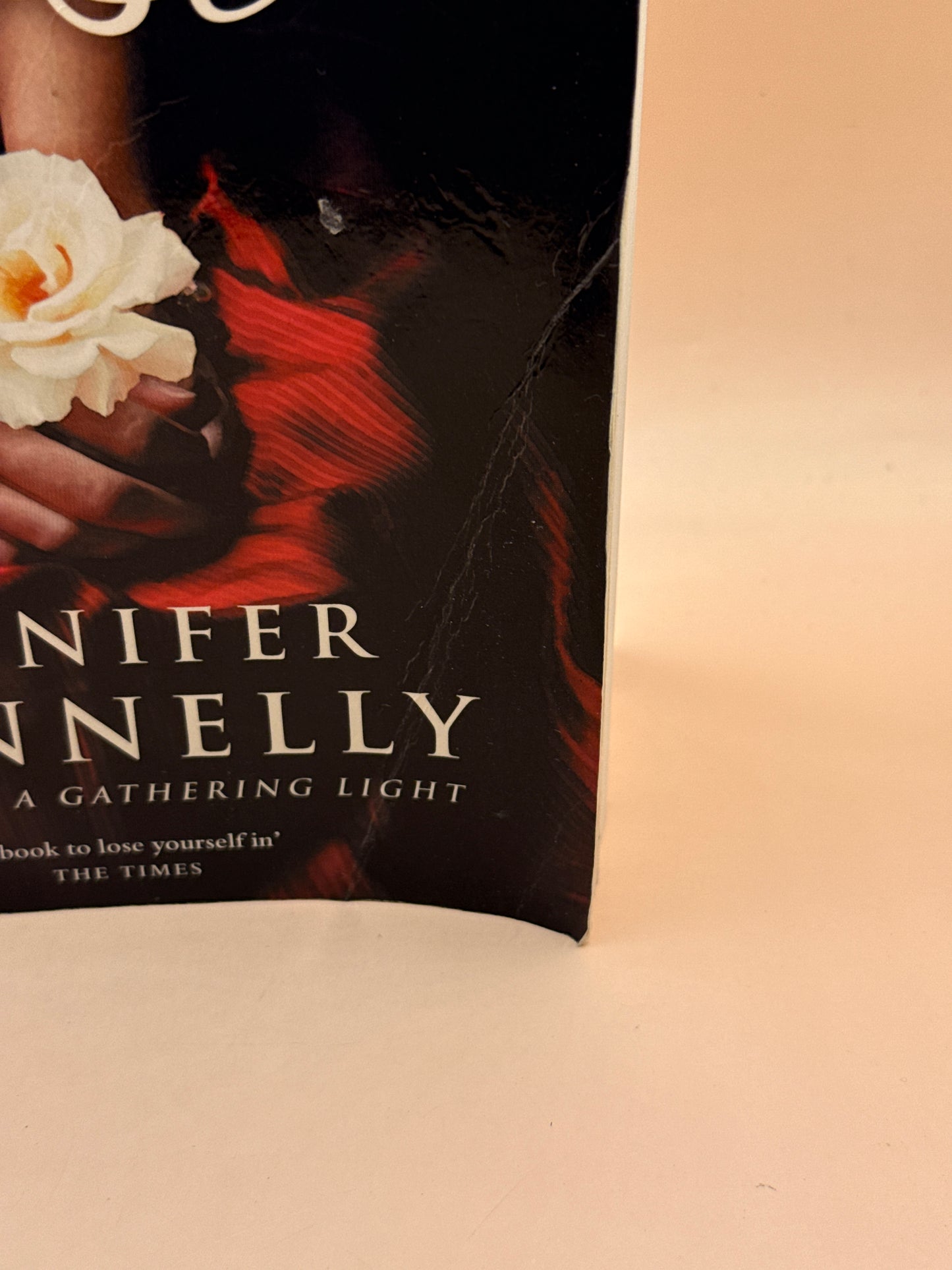 The Winter Rose by Jennifer Donnelly