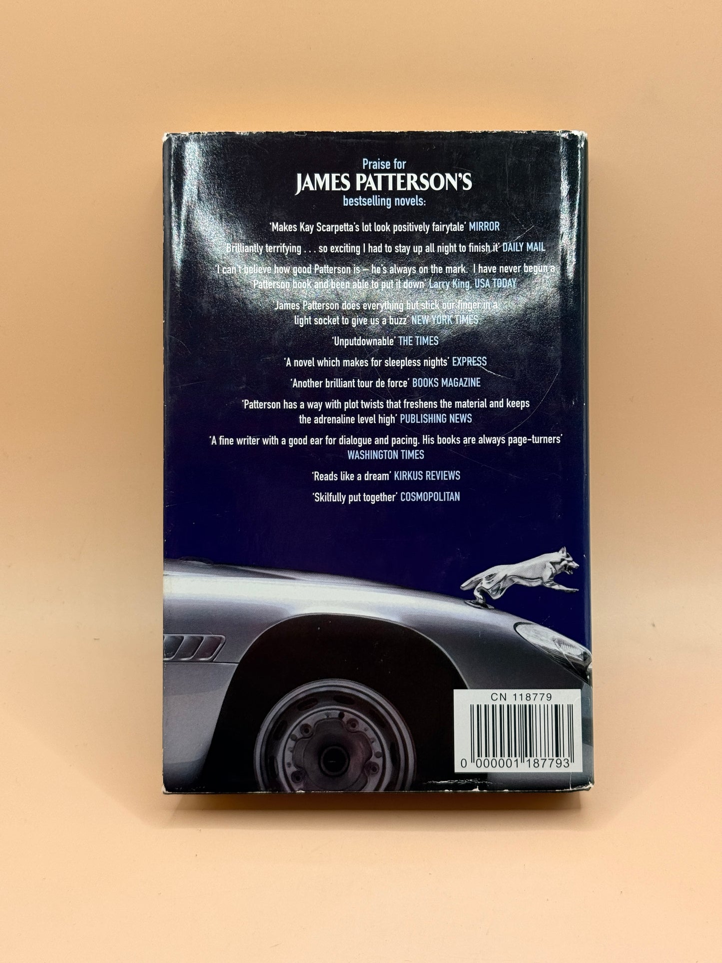The Big Bad Wolf by James Patterson