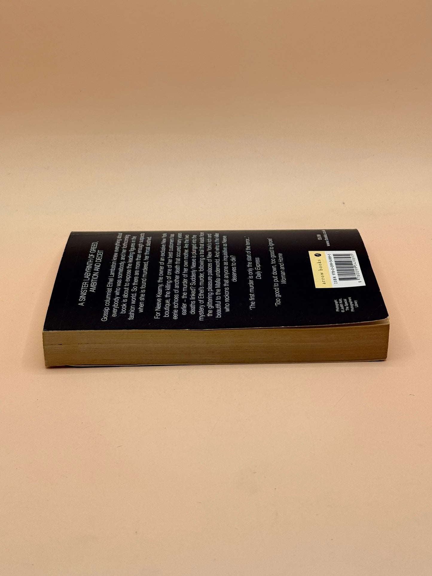 While My Pretty One Sleeps by Mary Higgins Clark