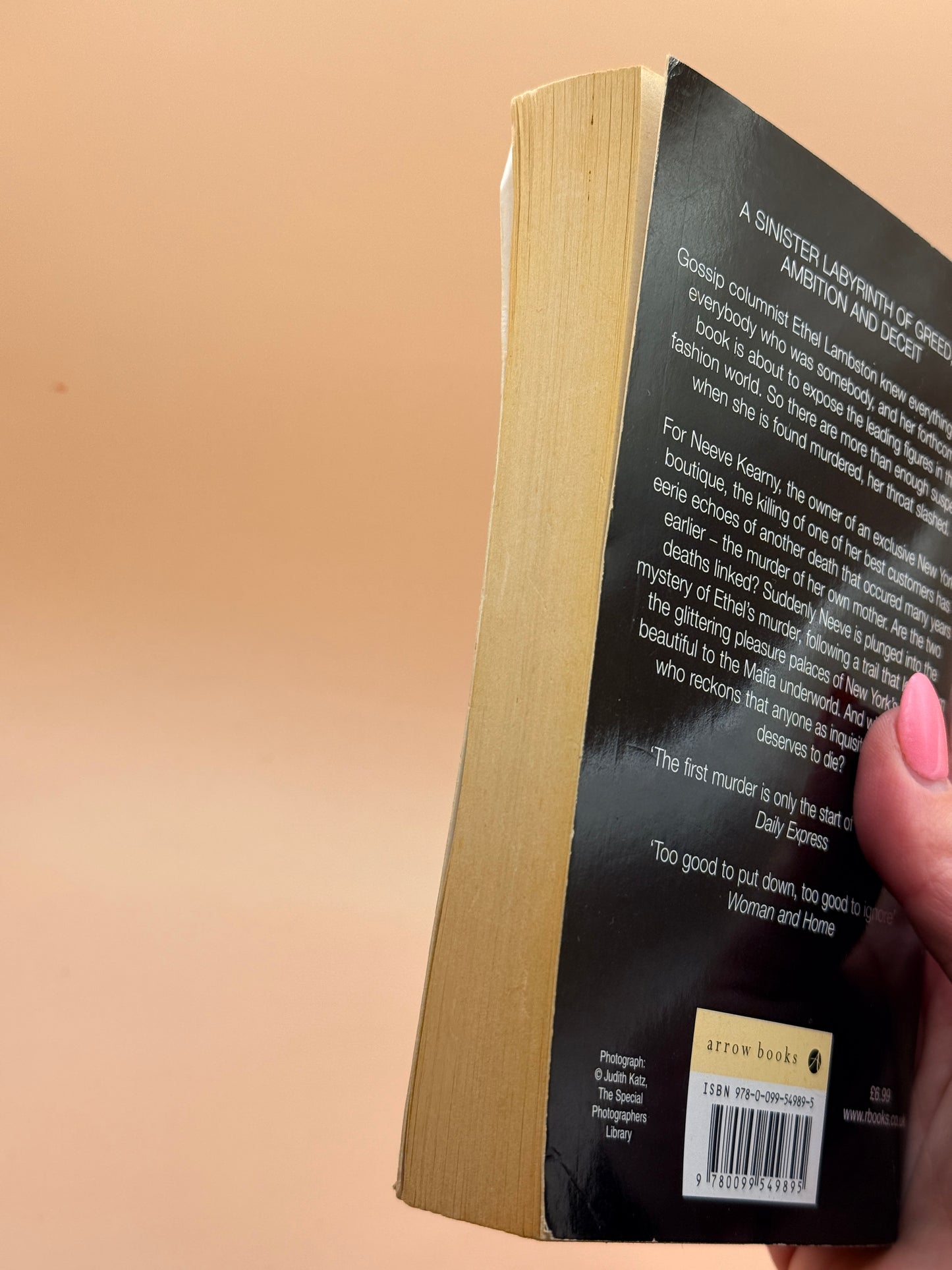 While My Pretty One Sleeps by Mary Higgins Clark