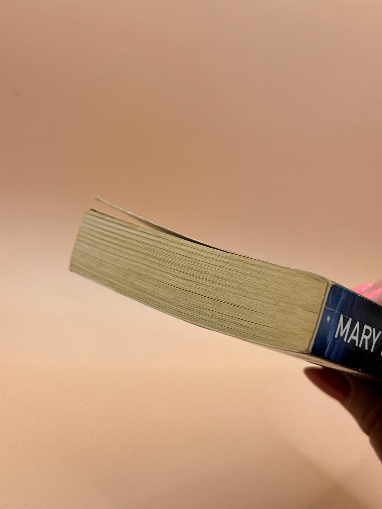 Just Take My Heart by Mary Higgins Clark