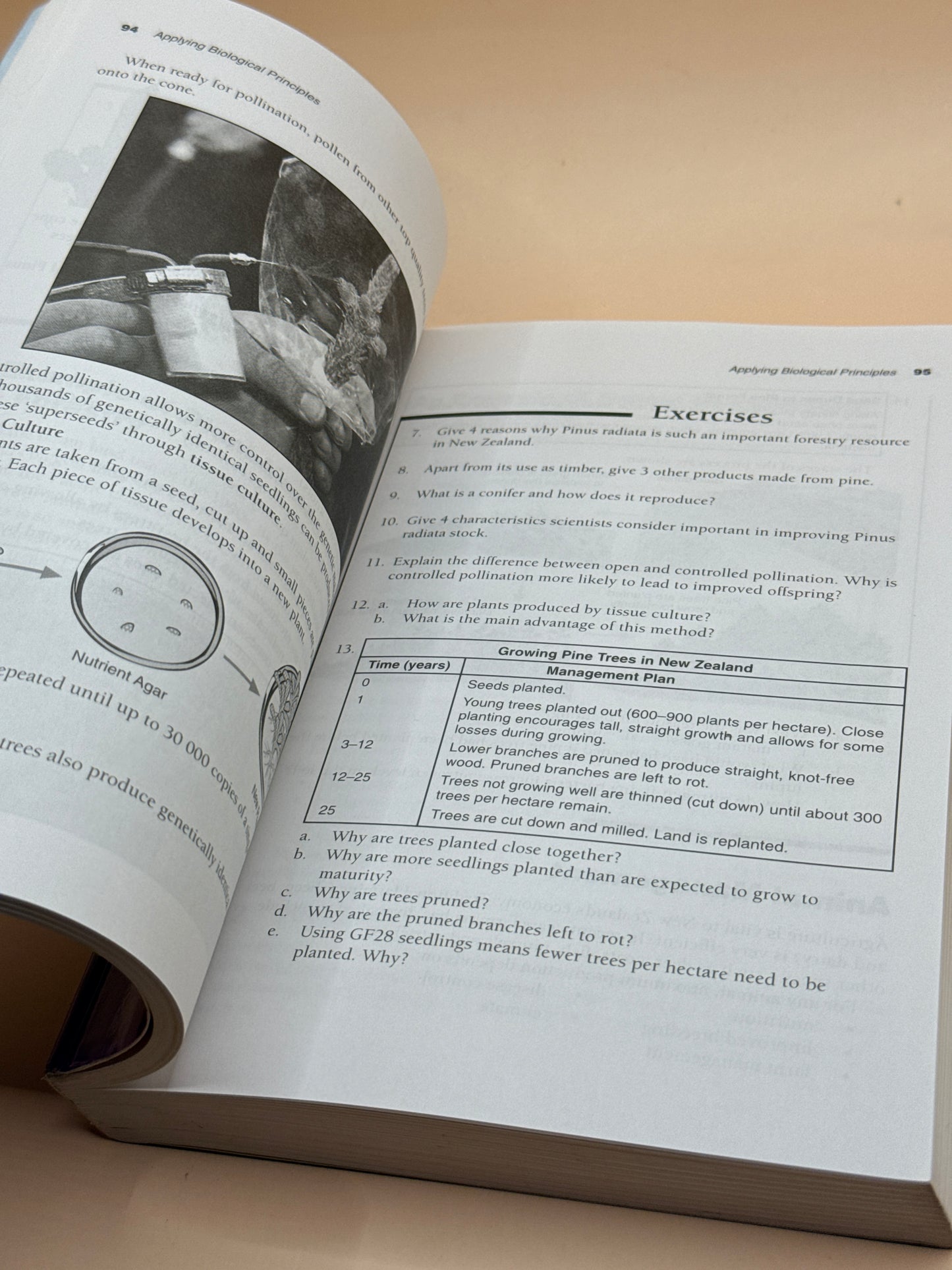 Science Form 5 Study Guide by B. Hannay, P. Howison & M. Sayes