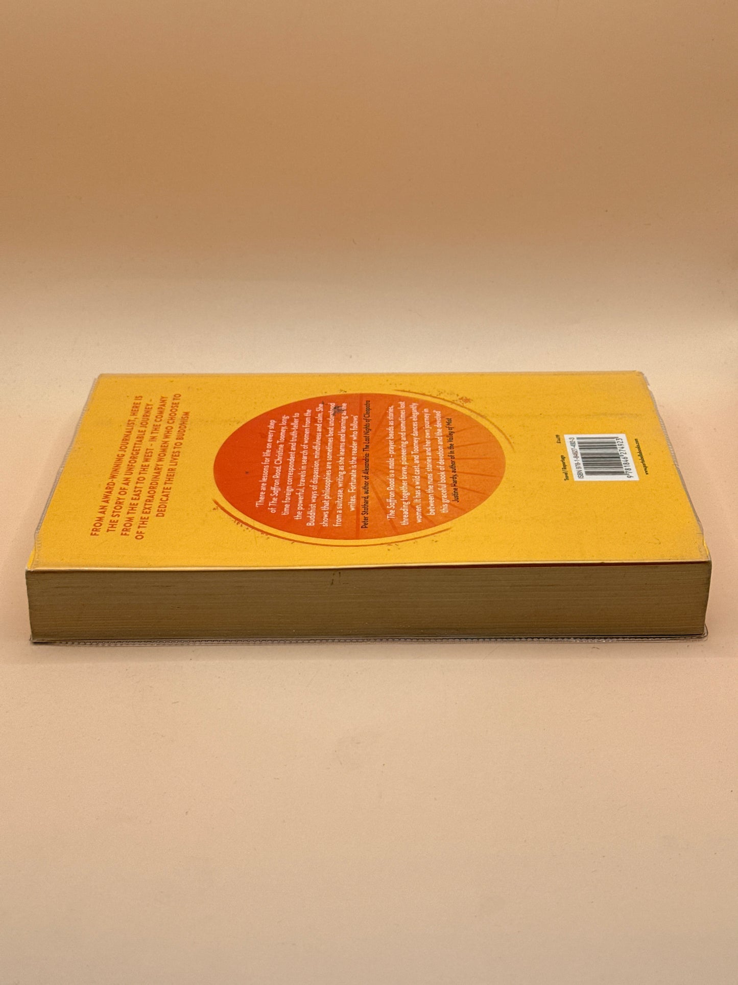 The Saffron Road by Christine Toomey