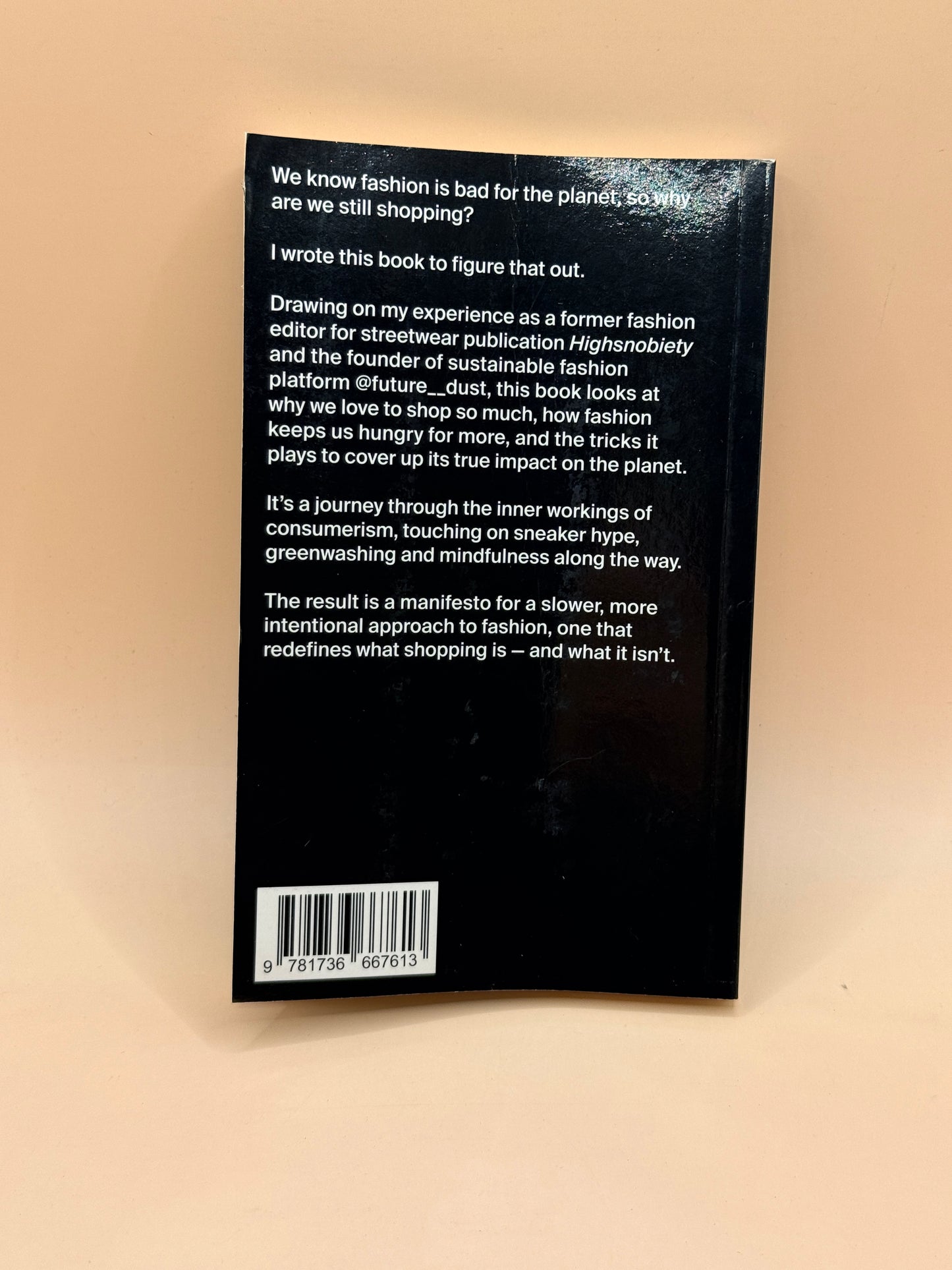 The World Is on Fire But We're Still Buying Shoes by Alec Leach