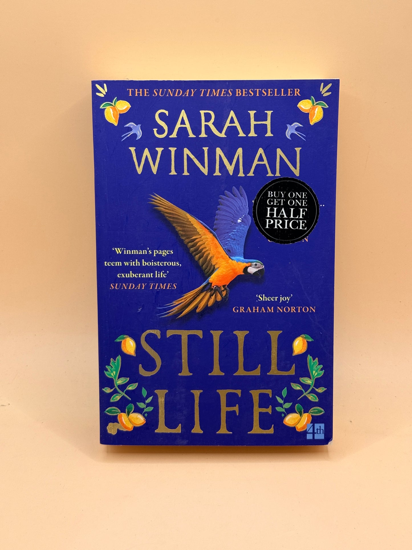 Still Life by Sarah Winman