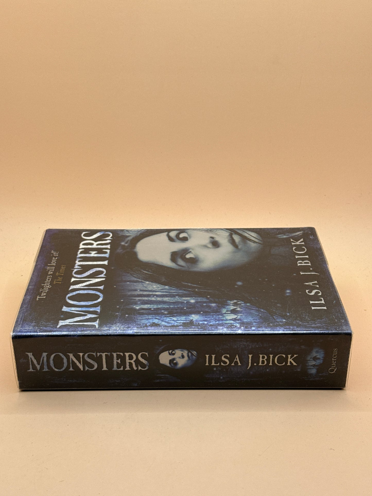 Monsters by Ilsa J. Bick